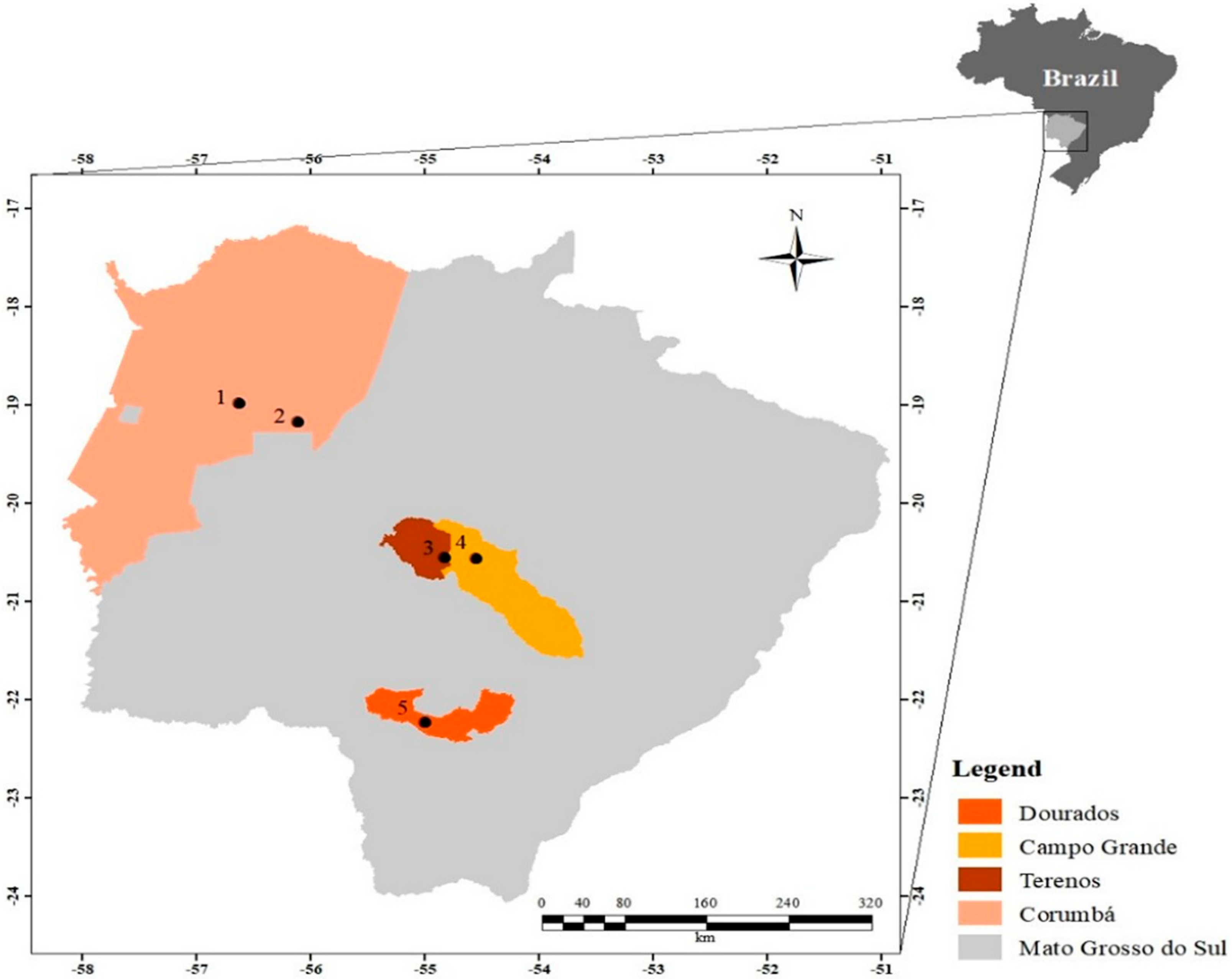 Diversity 13 00512 g001