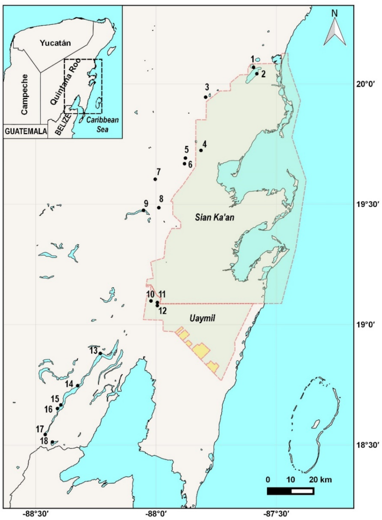 Diversity 13 00513 g001