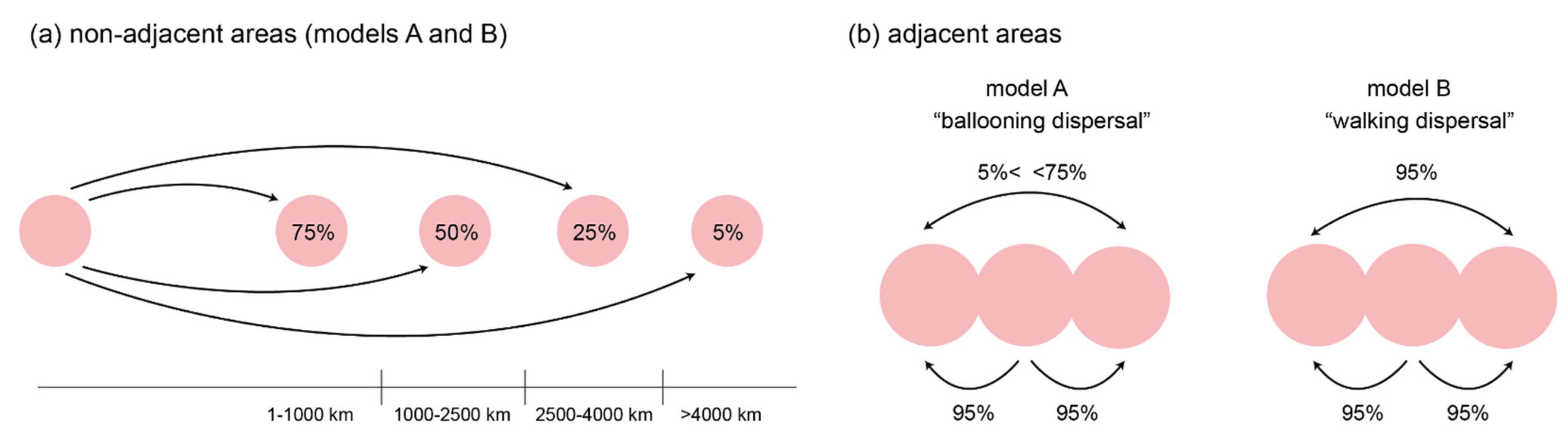 Diversity 13 00515 g002
