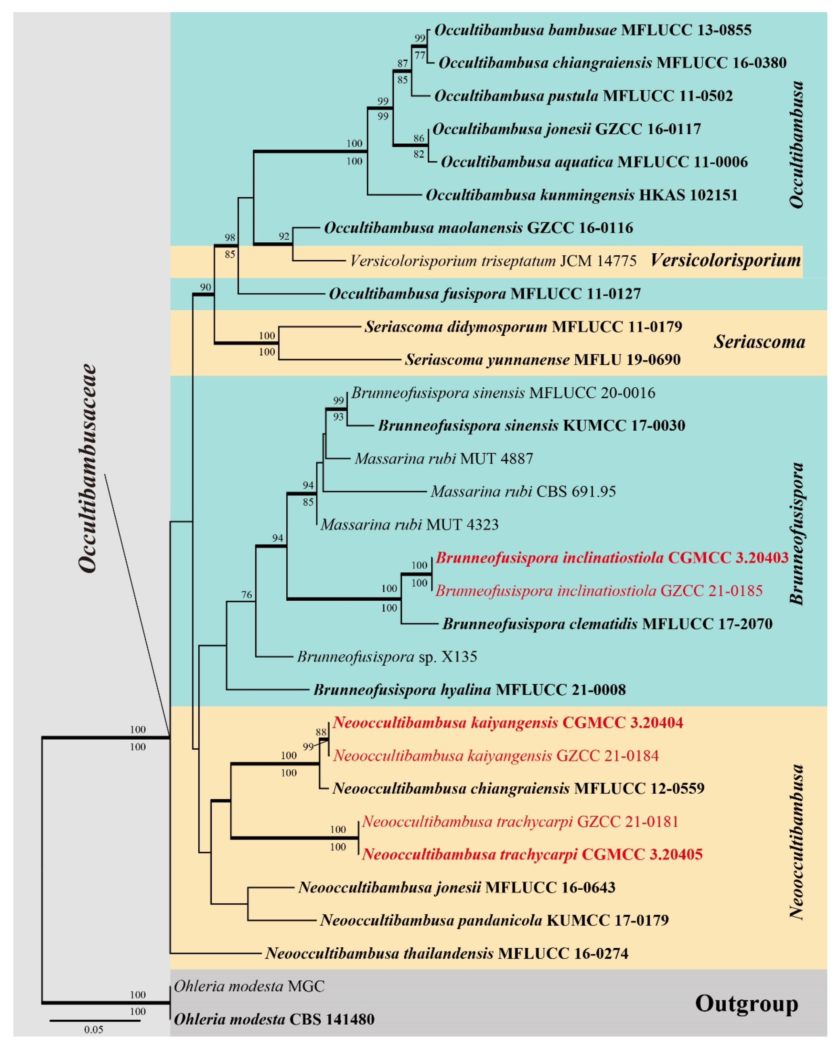 Diversity 13 00516 g001