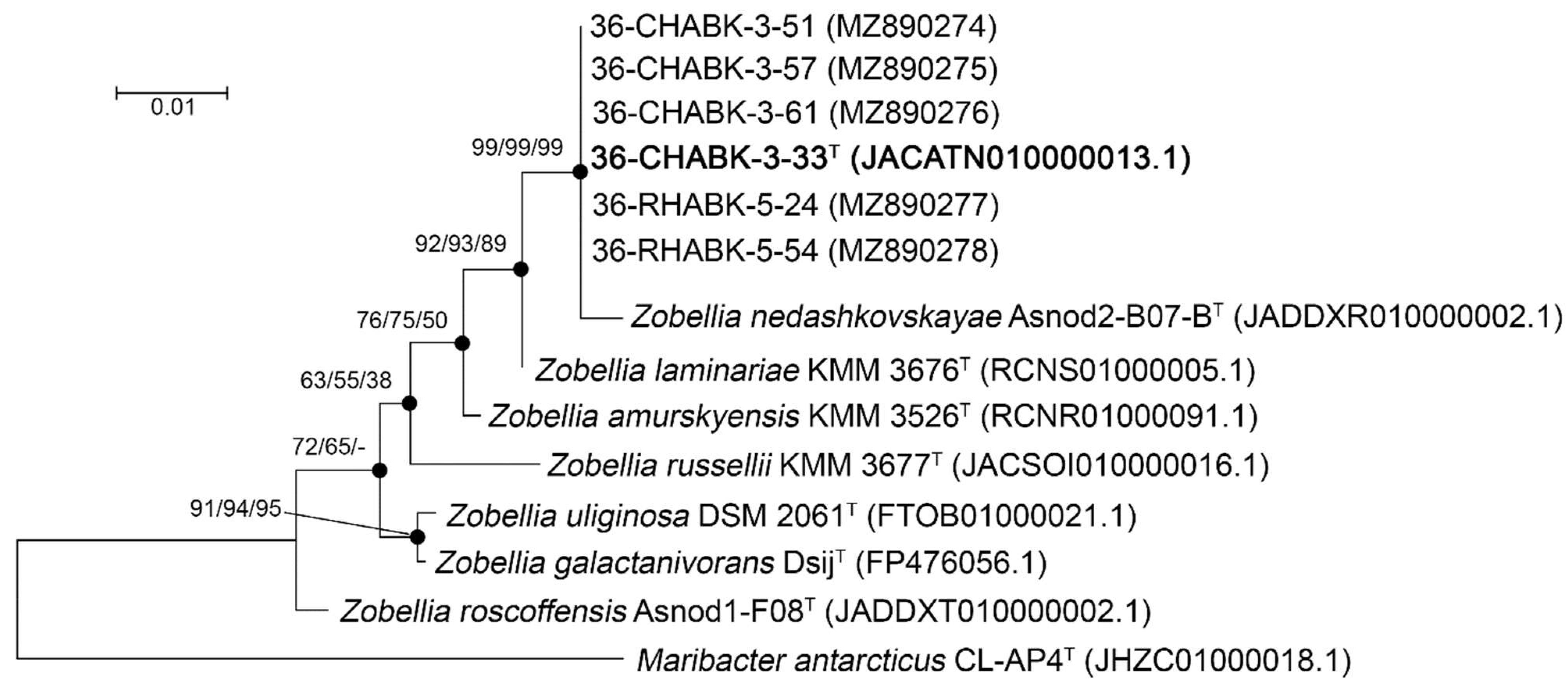 Diversity 13 00520 g001