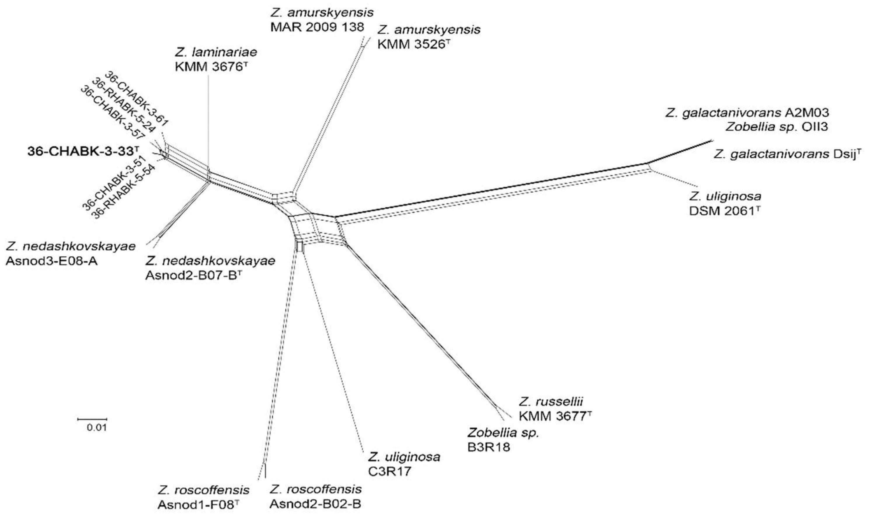 Diversity 13 00520 g002