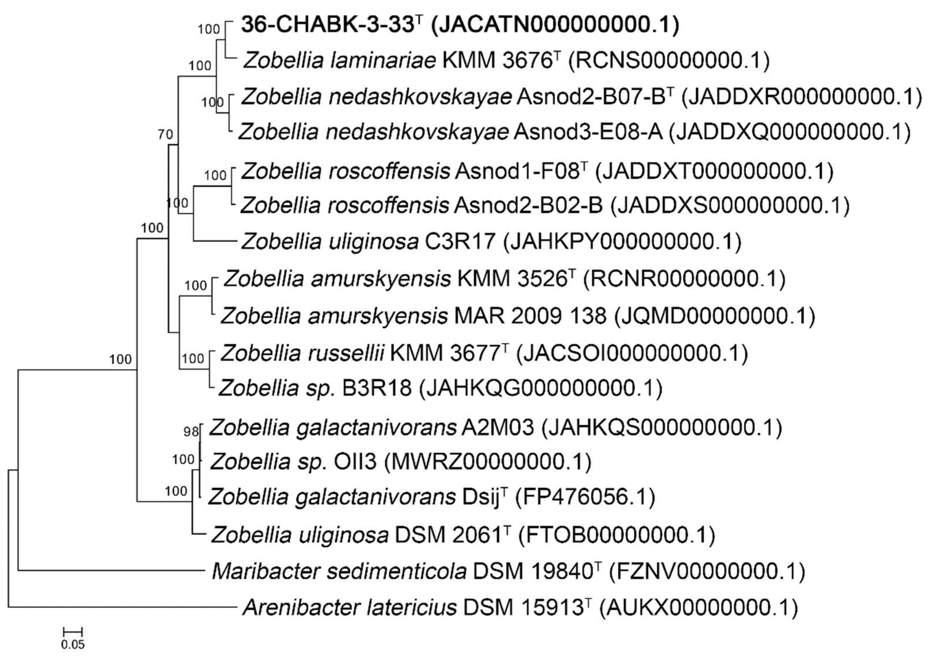 Diversity 13 00520 g003
