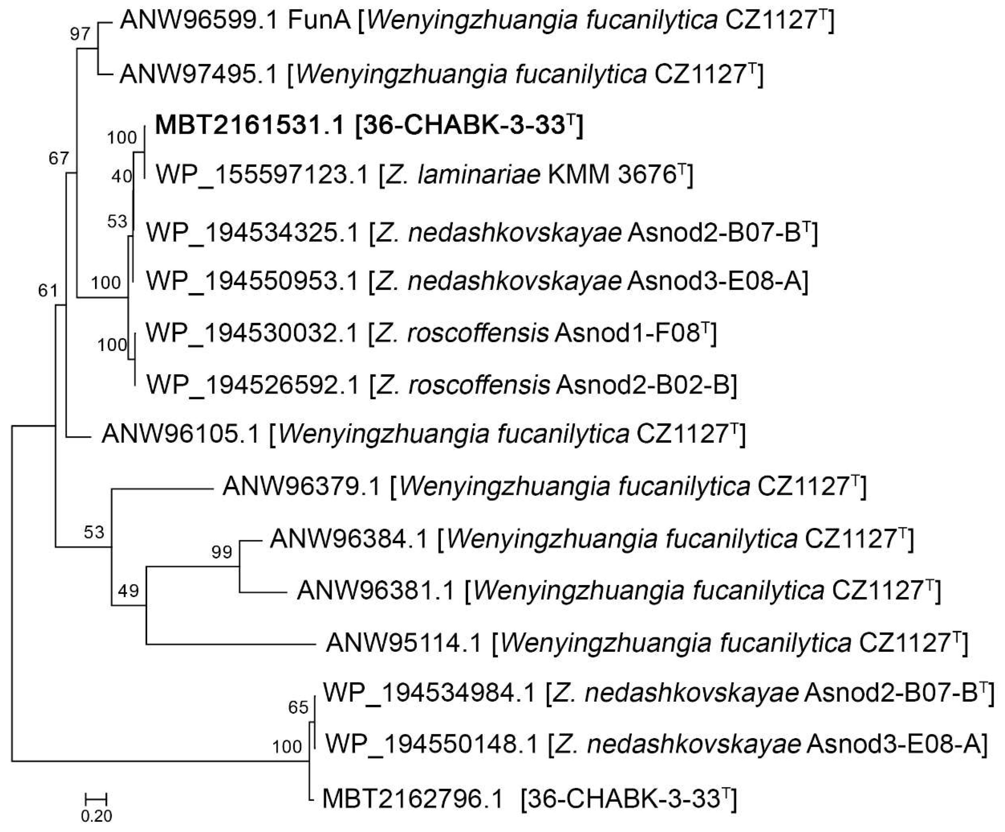 Diversity 13 00520 g004