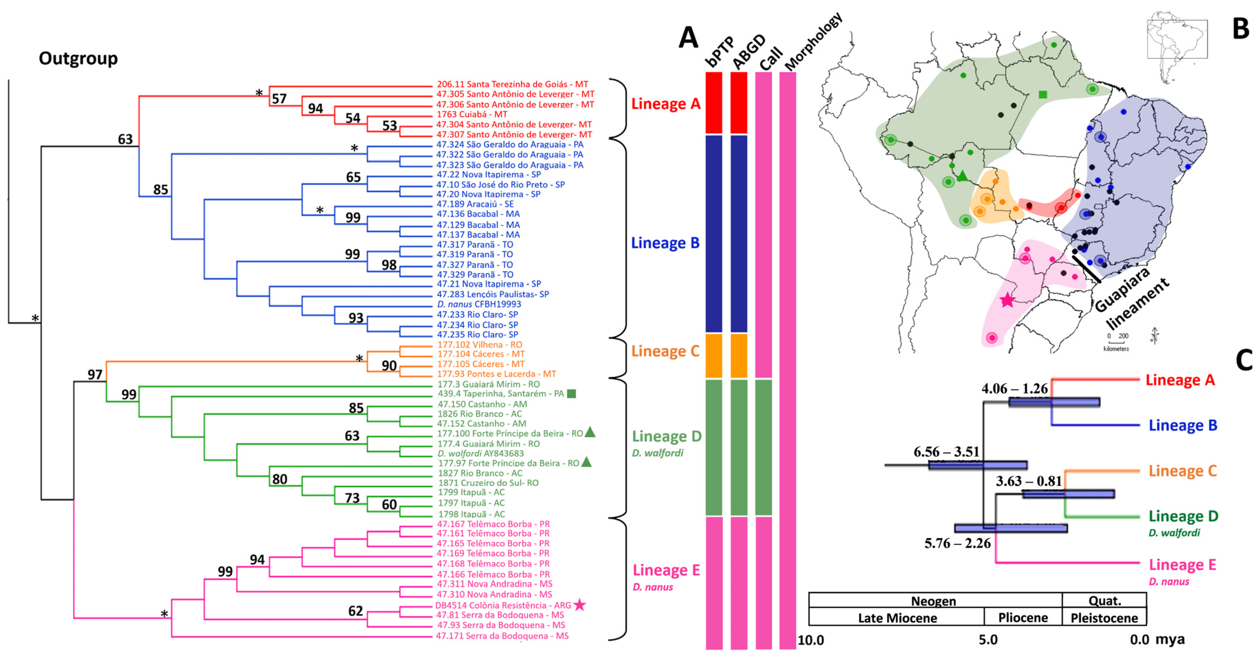 Diversity 13 00522 g001