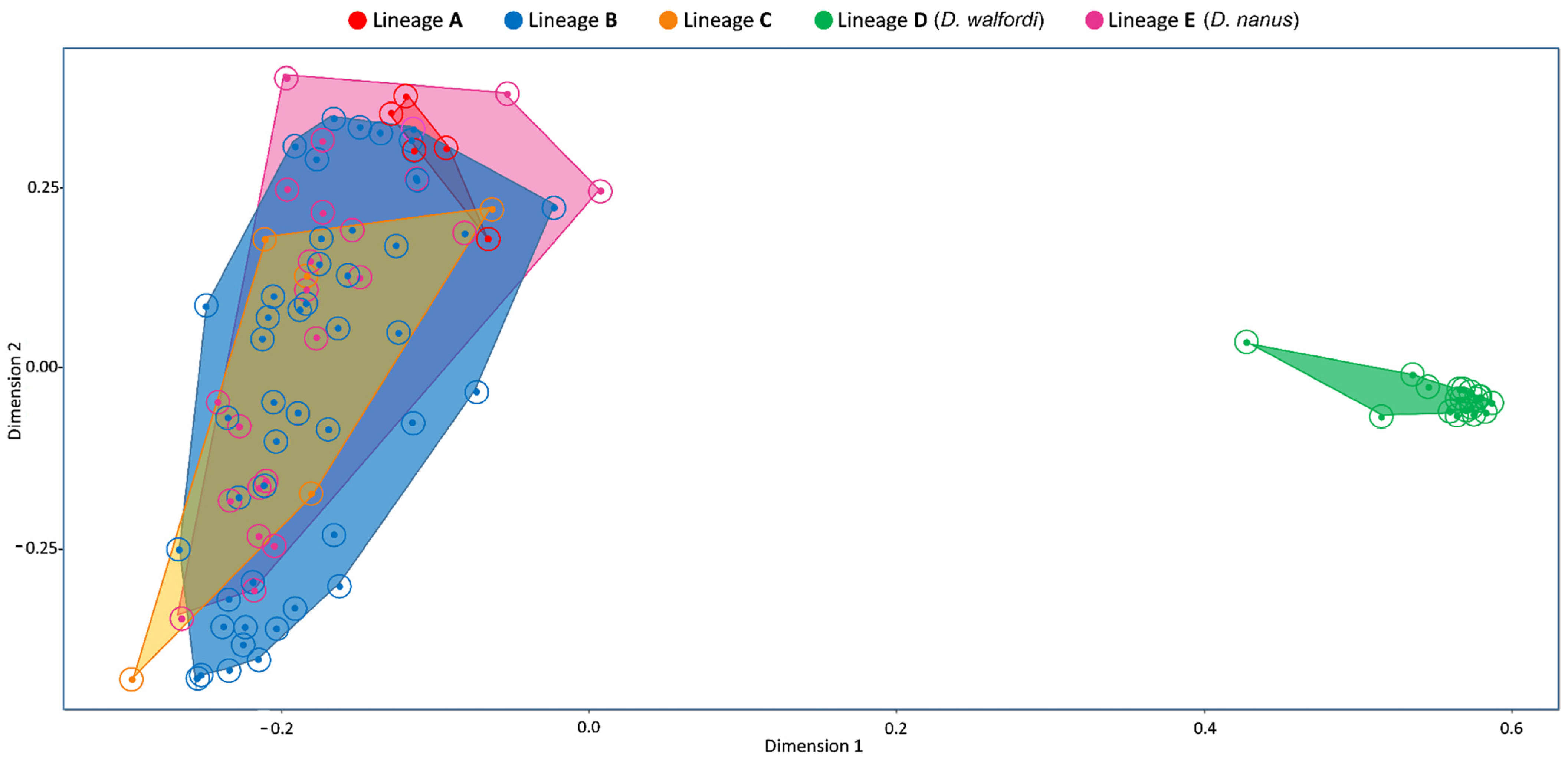 Diversity 13 00522 g003