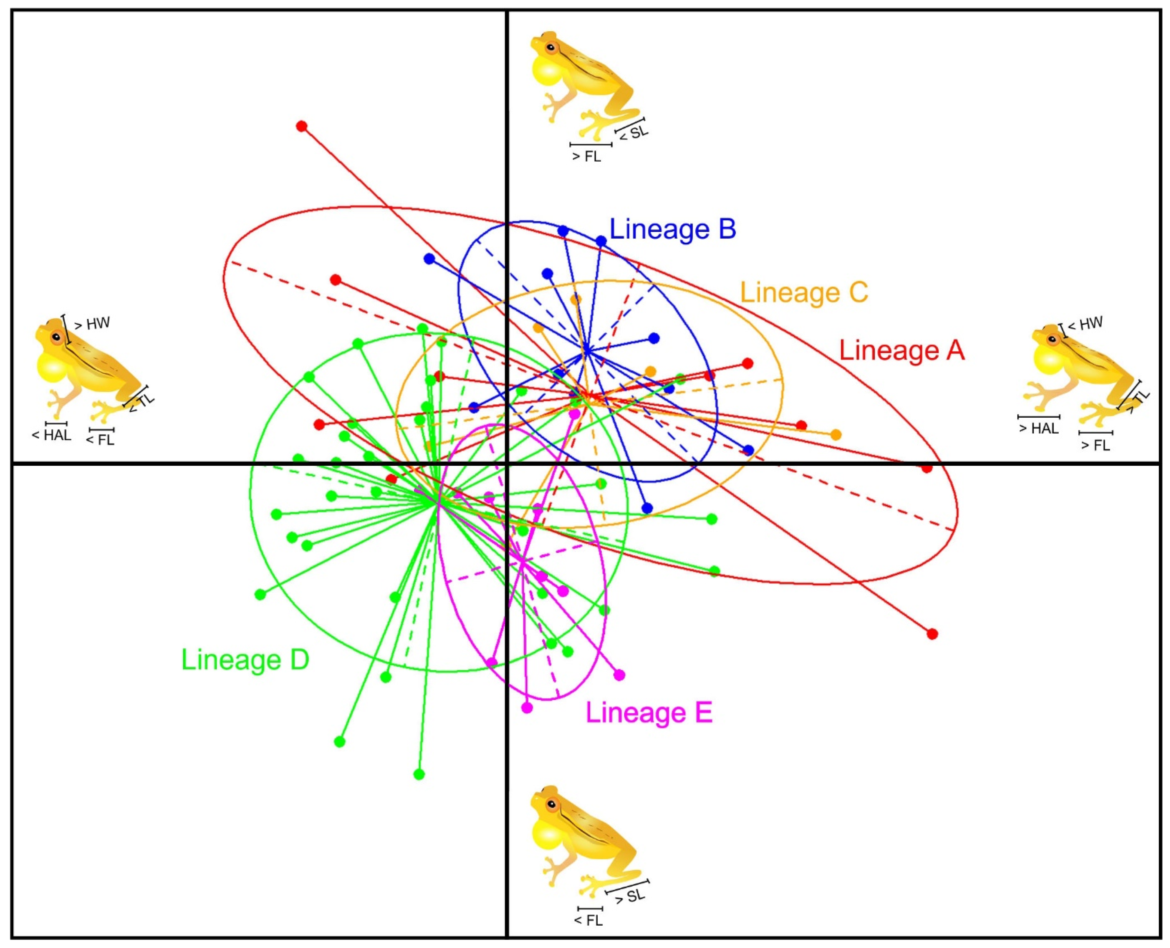 Diversity 13 00522 g006