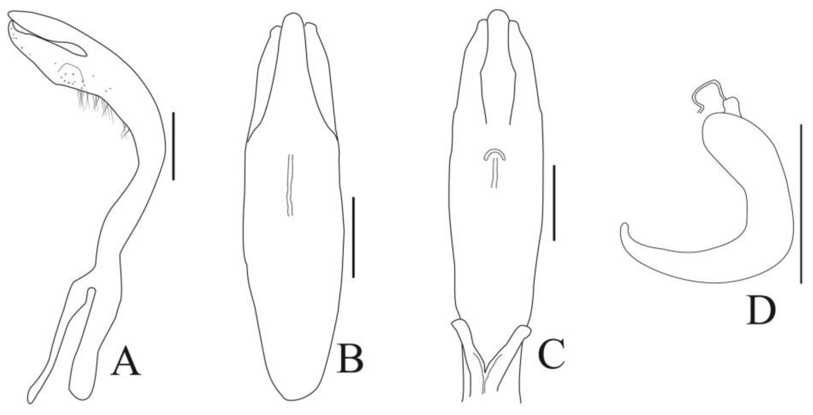 Diversity 13 00523 g003