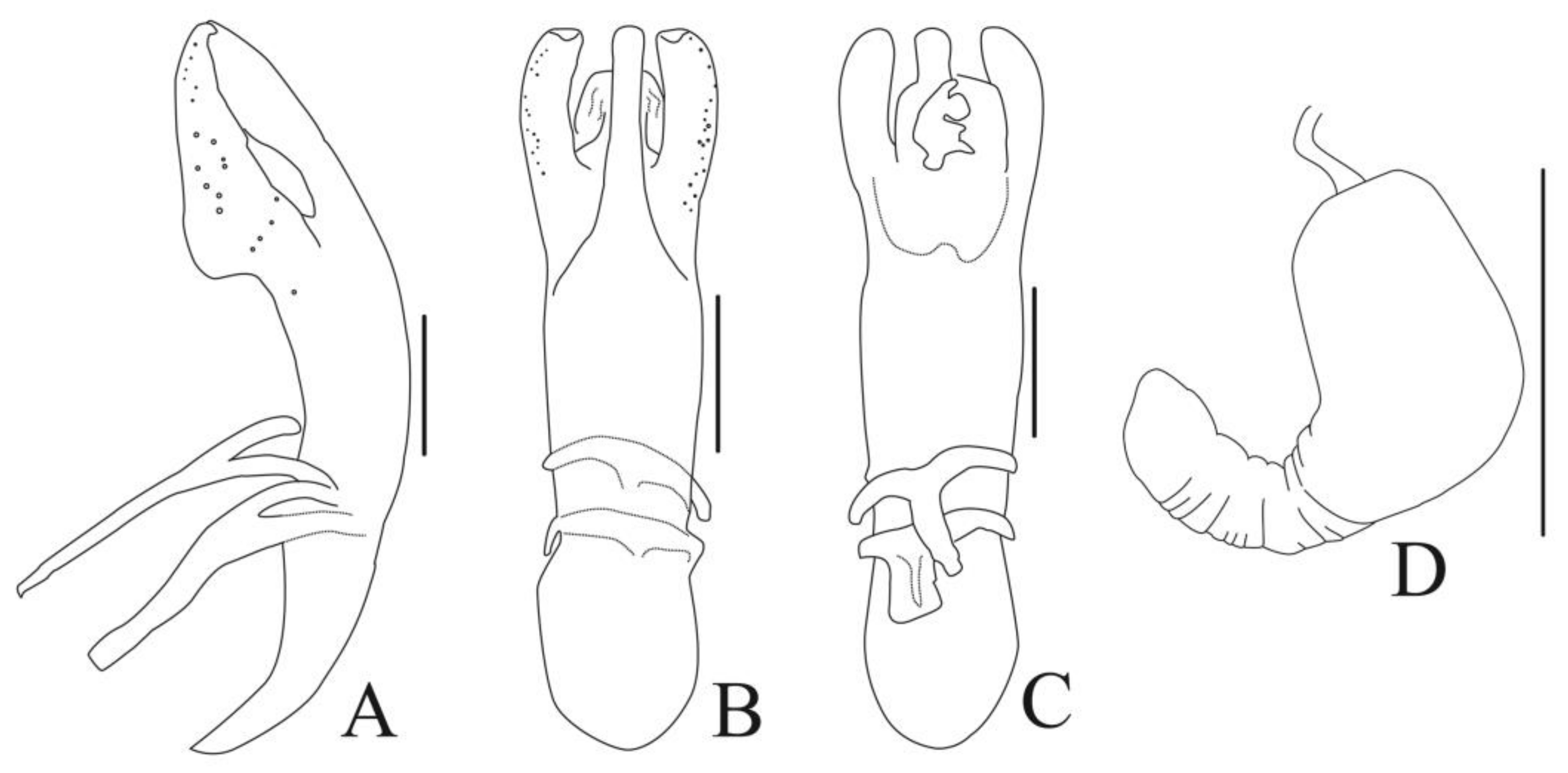 Diversity 13 00523 g005