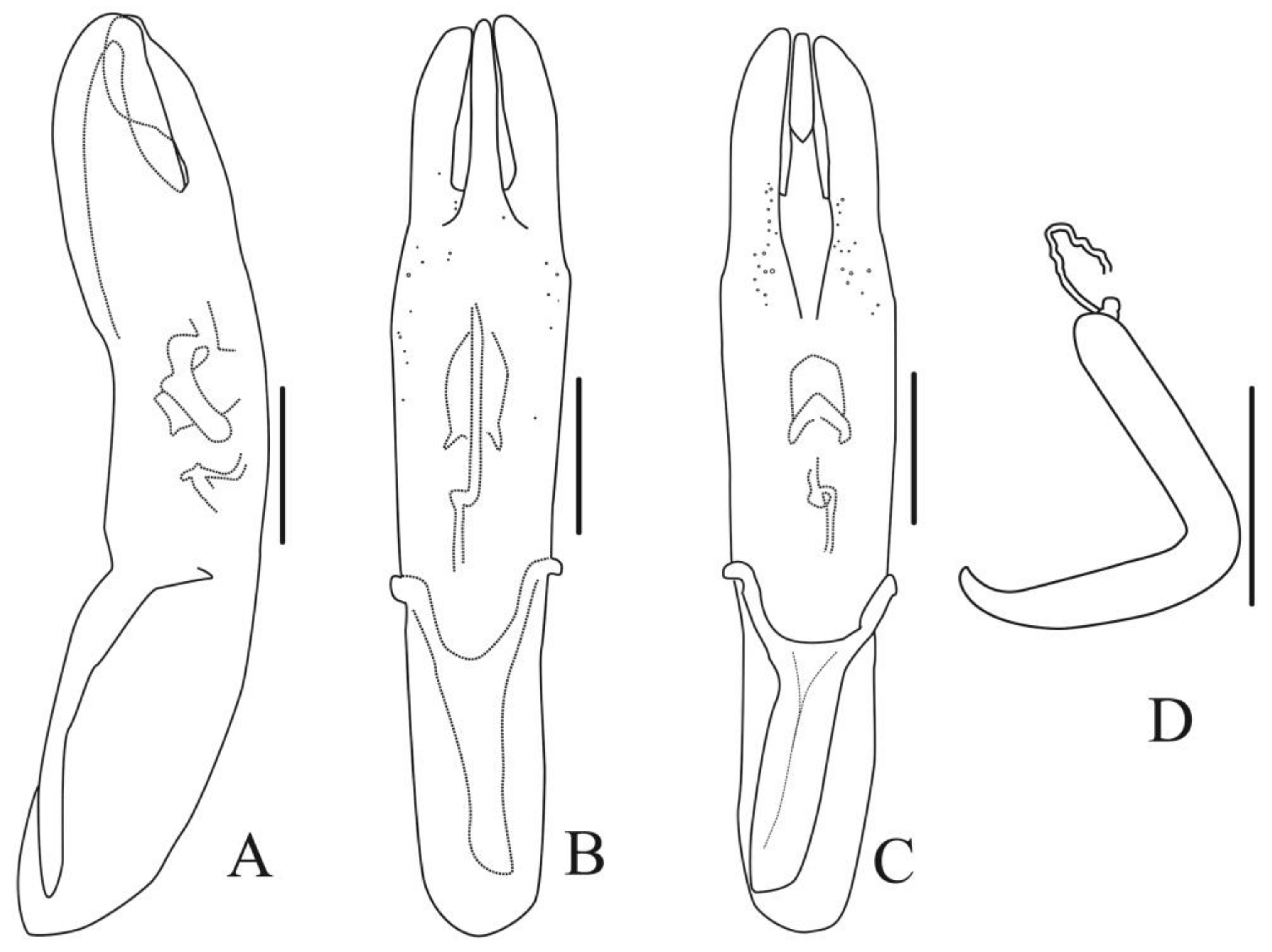 Diversity 13 00523 g007