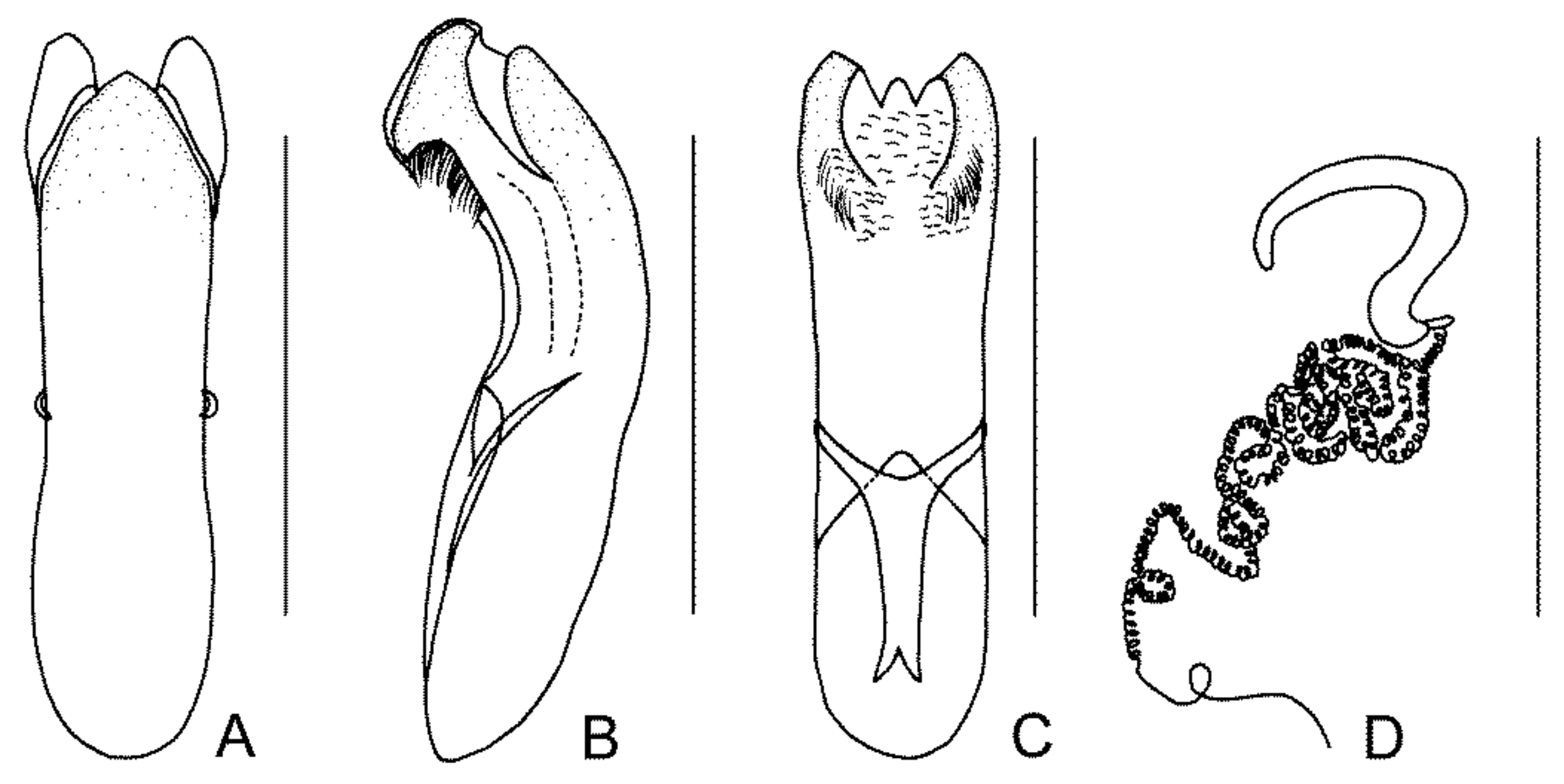 Diversity 13 00523 g009