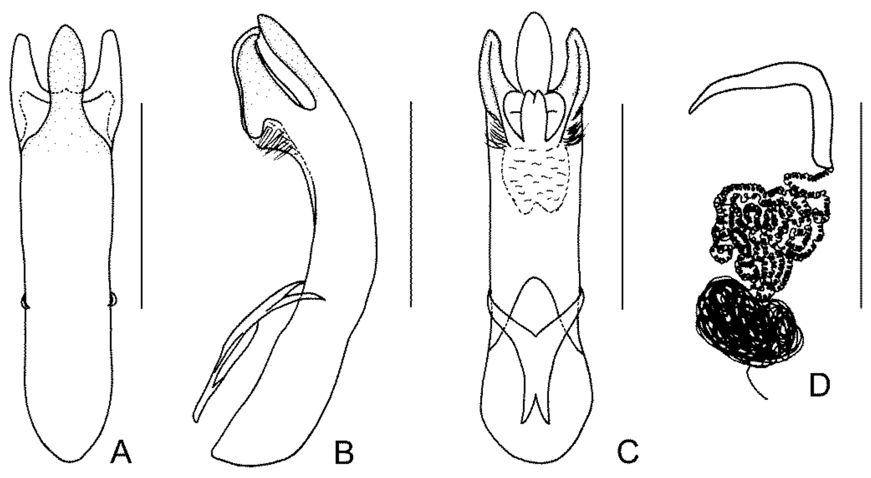 Diversity 13 00523 g014