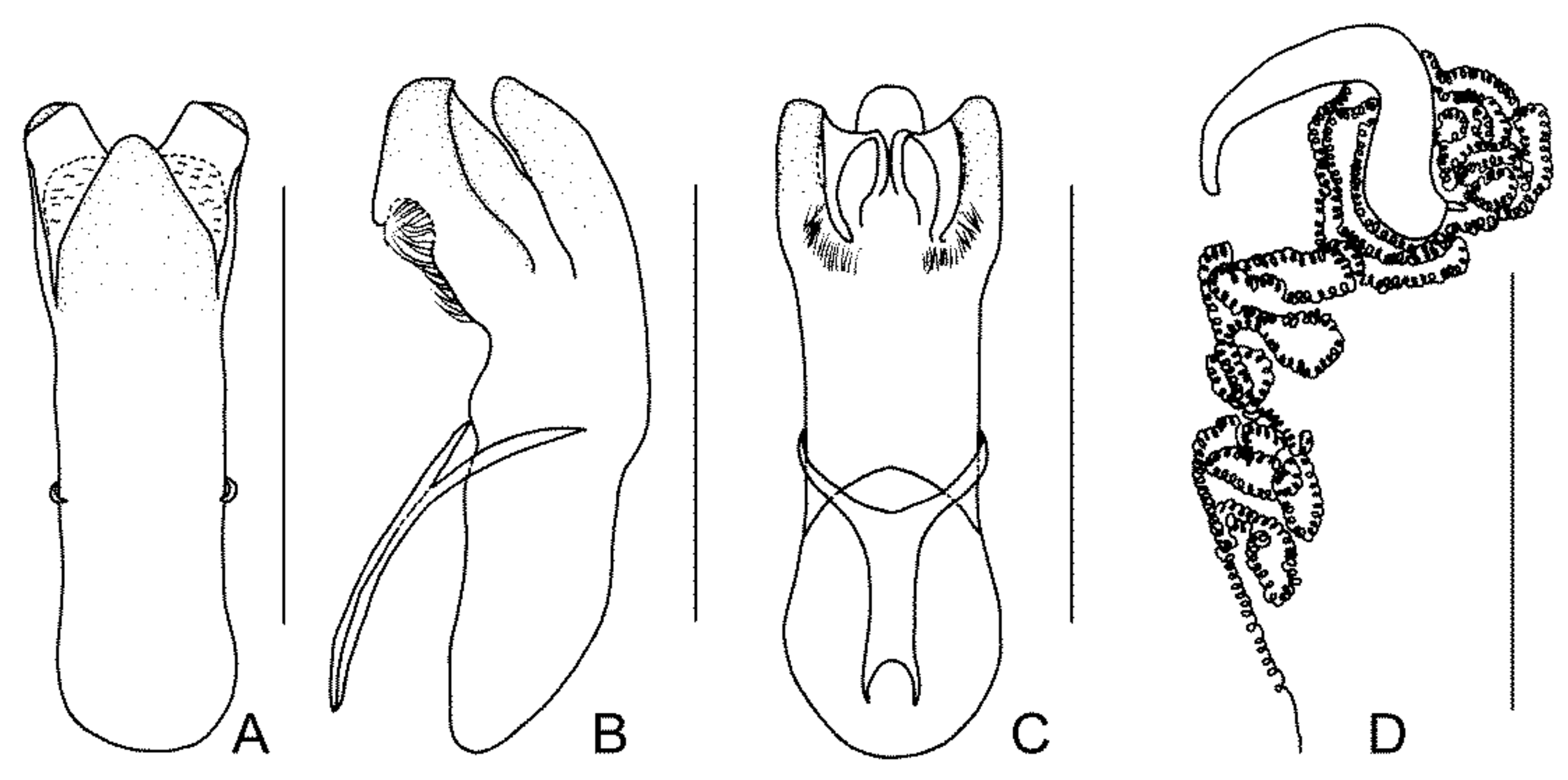 Diversity 13 00523 g016