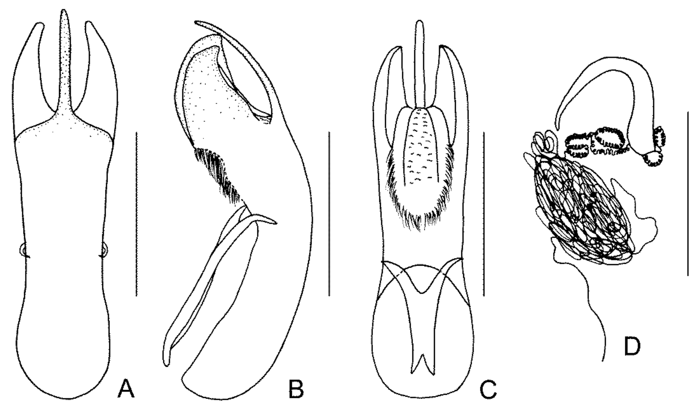 Diversity 13 00523 g018