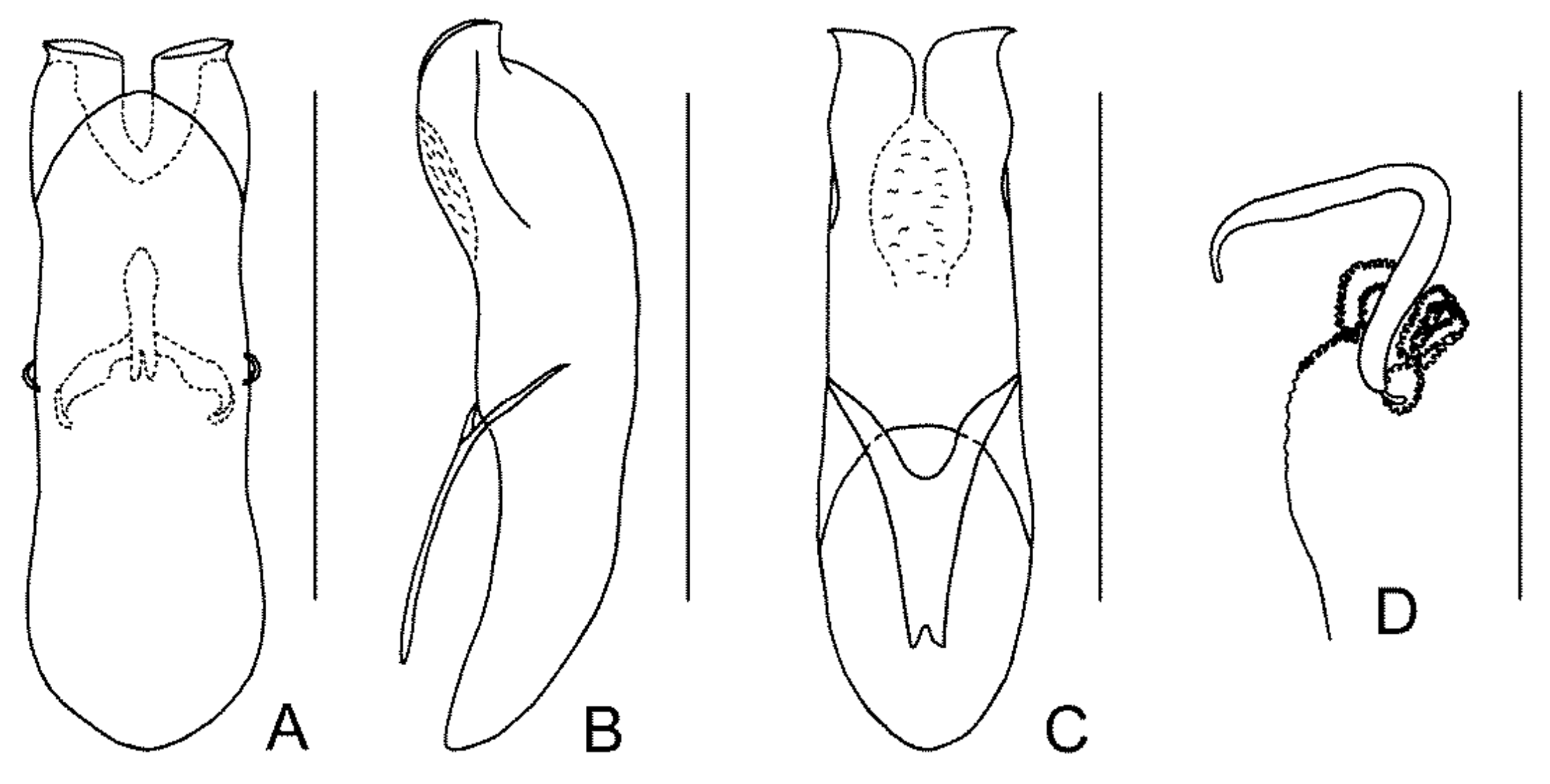 Diversity 13 00523 g020