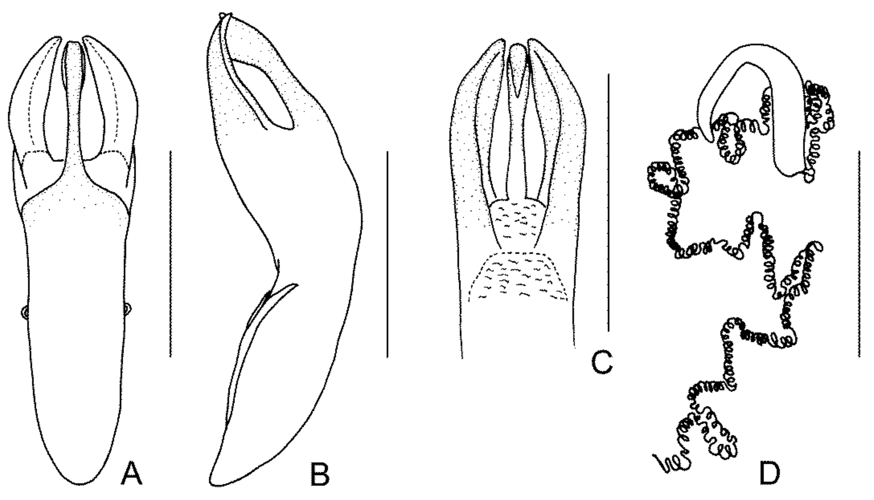 Diversity 13 00523 g023