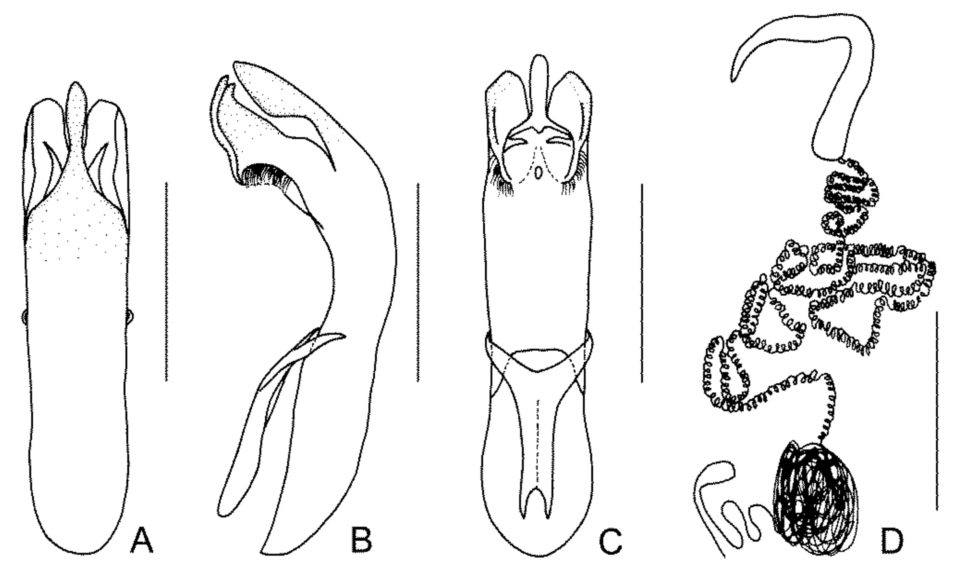 Diversity 13 00523 g025