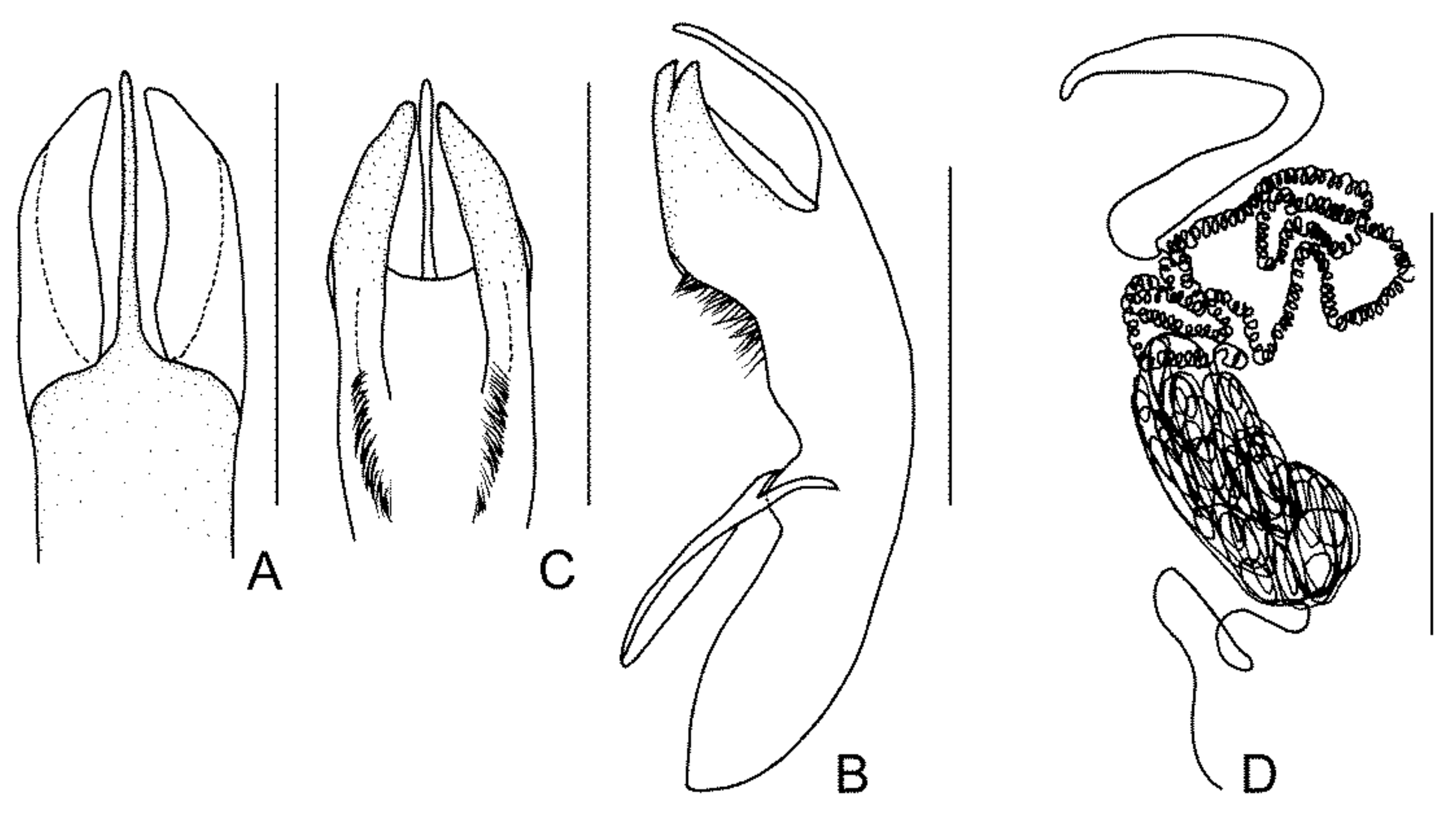 Diversity 13 00523 g027