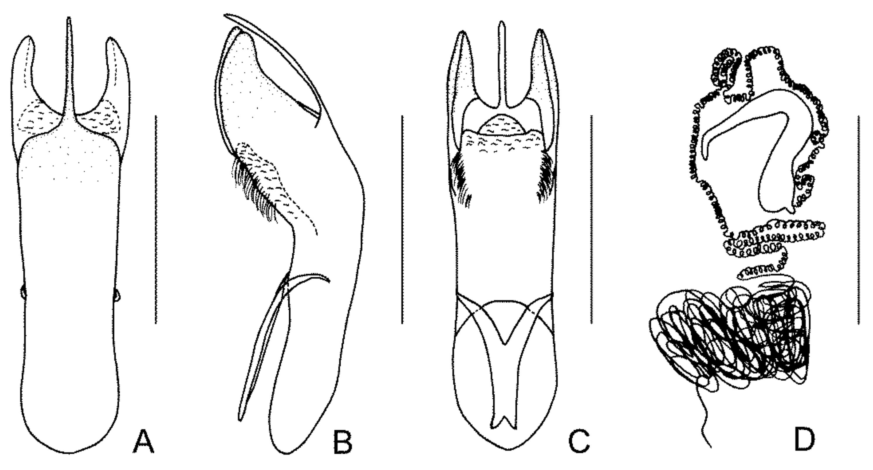 Diversity 13 00523 g030
