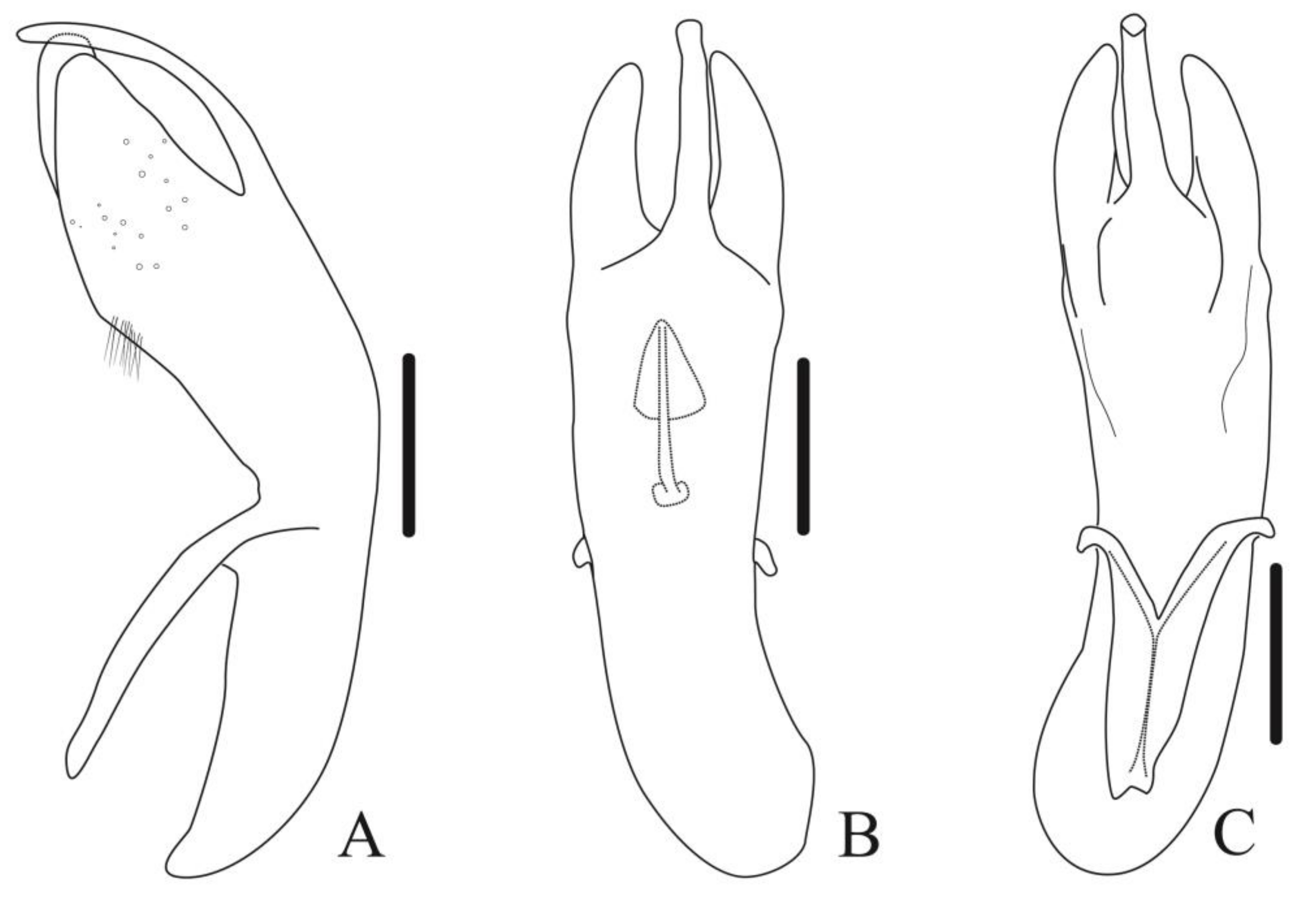 Diversity 13 00523 g032