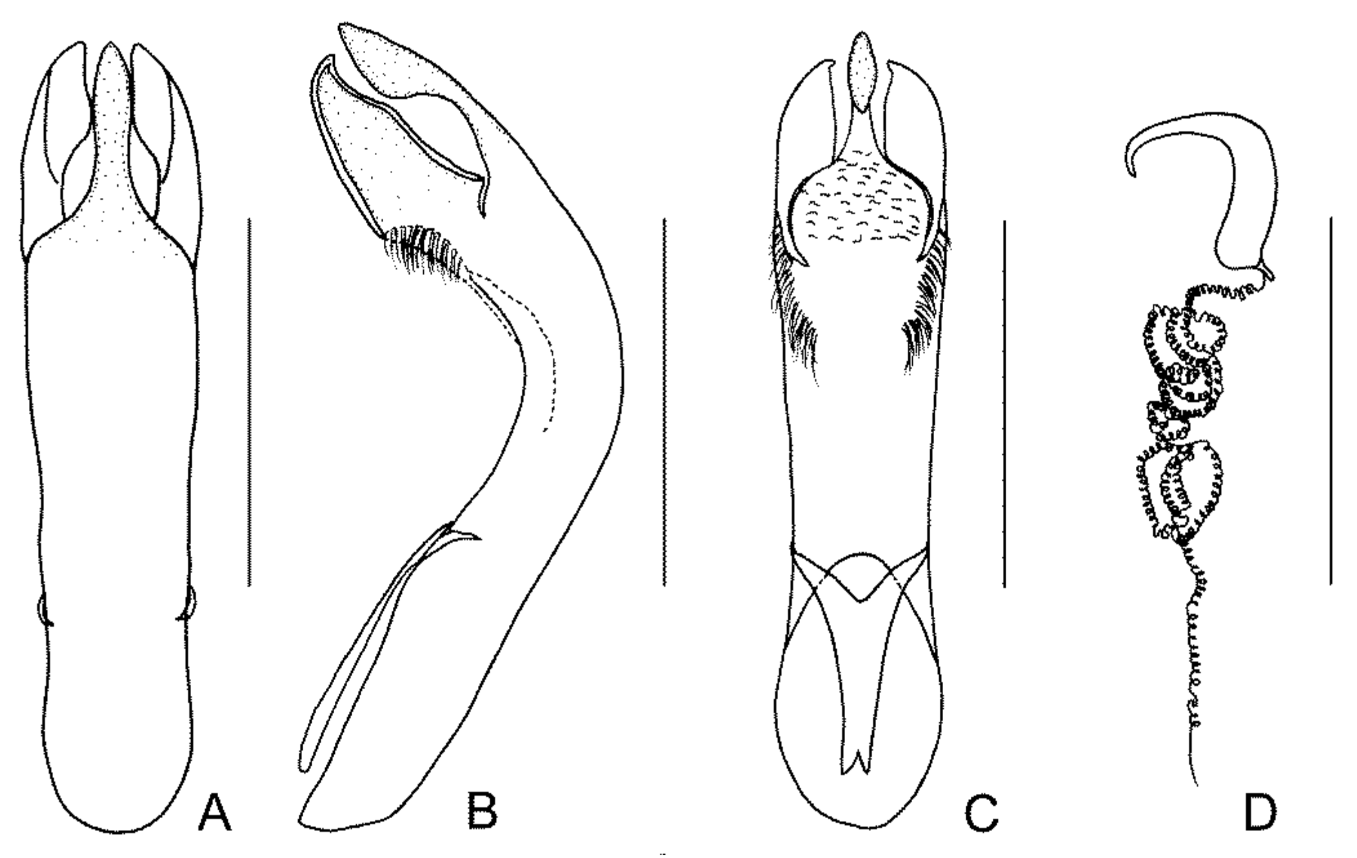 Diversity 13 00523 g034