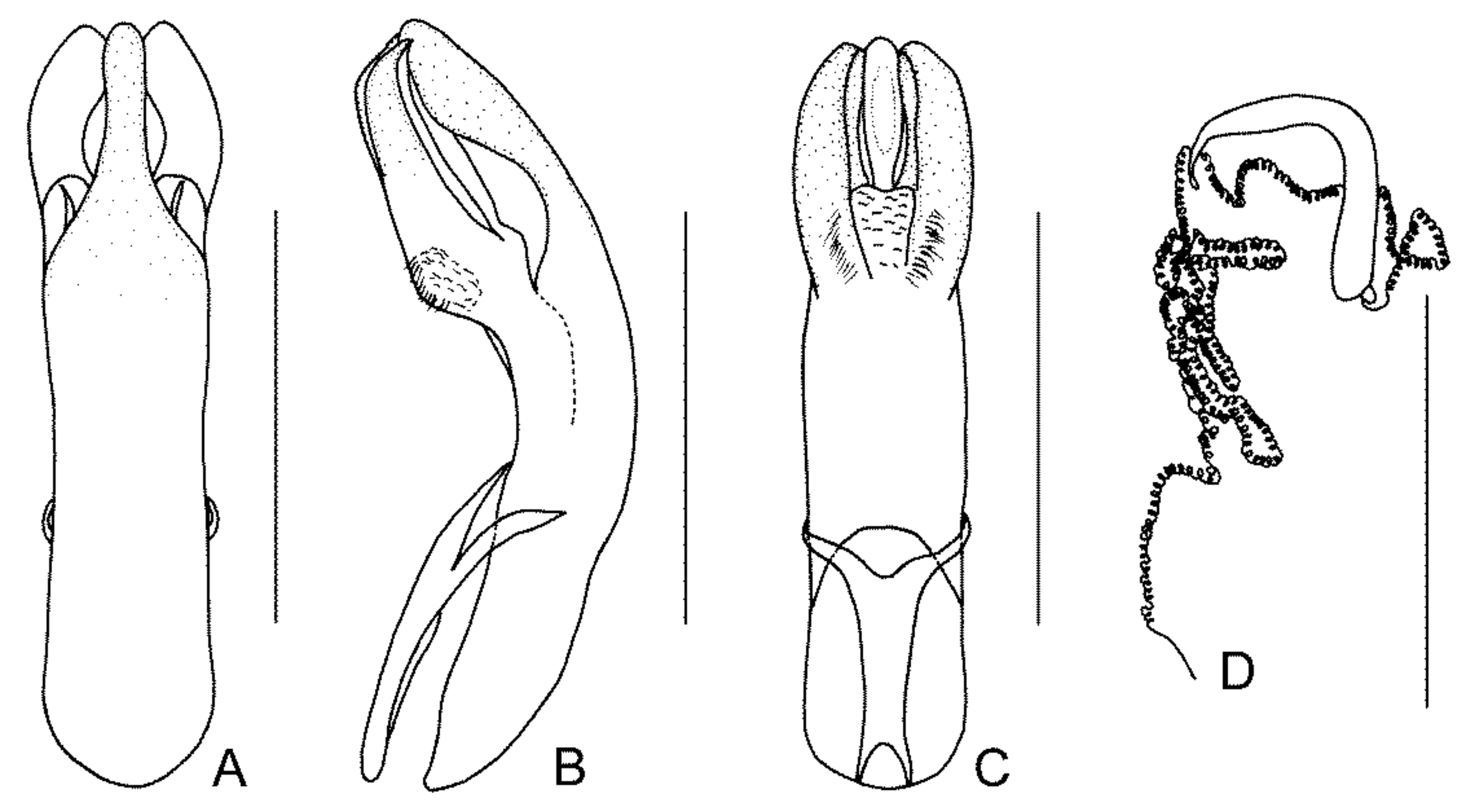 Diversity 13 00523 g037