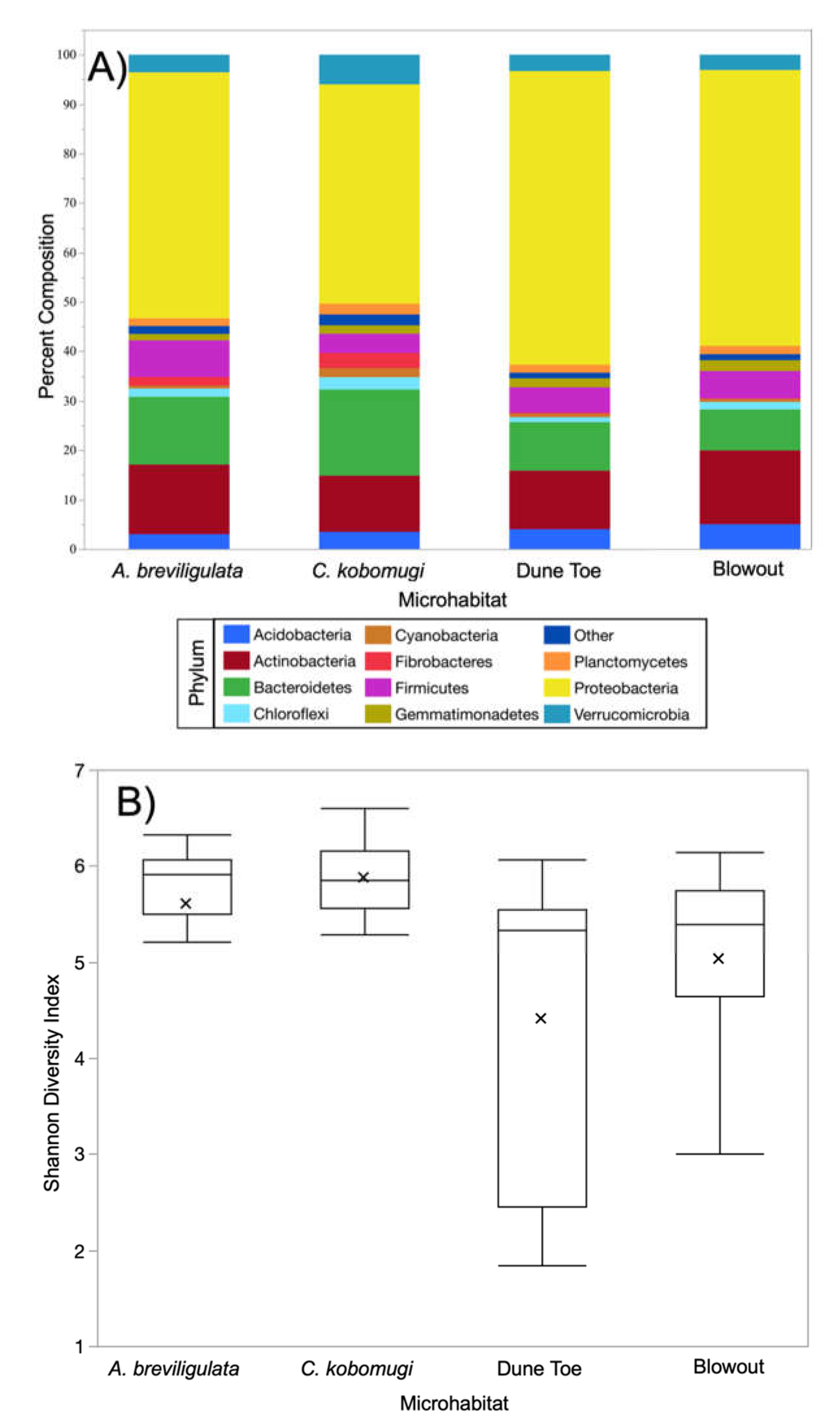 Diversity 13 00525 g001