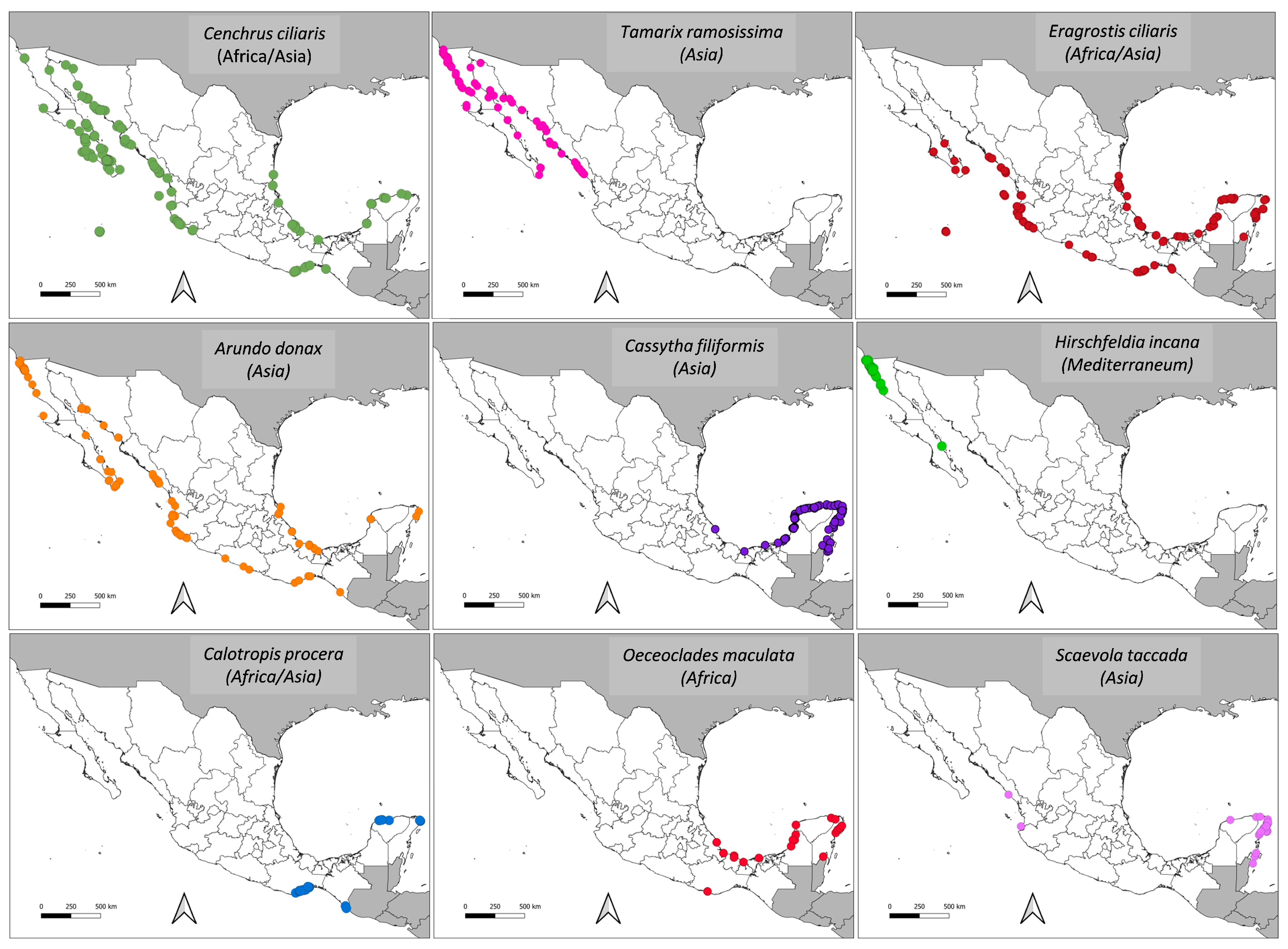 Diversity 13 00530 g004
