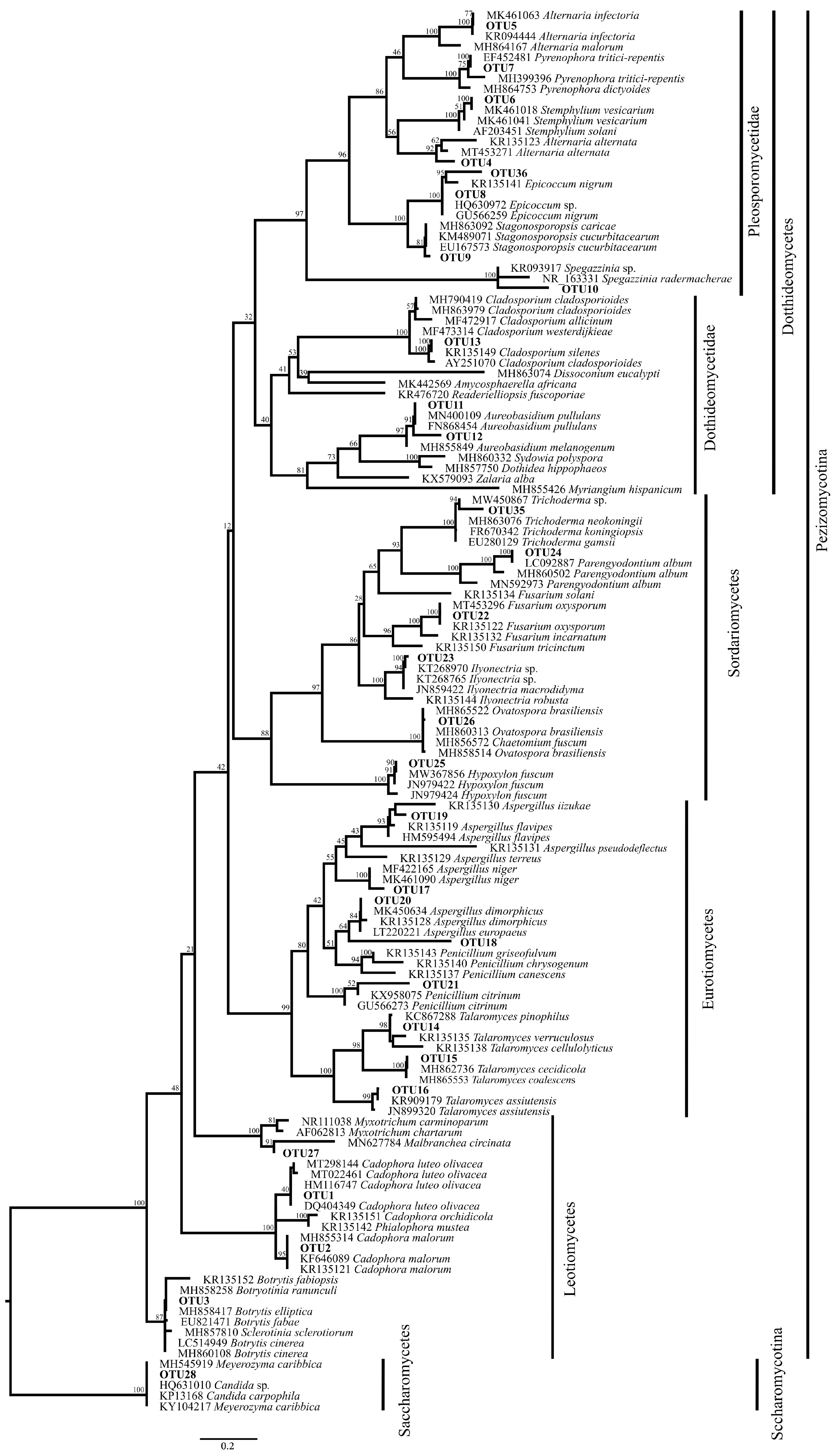 Diversity 13 00535 g001