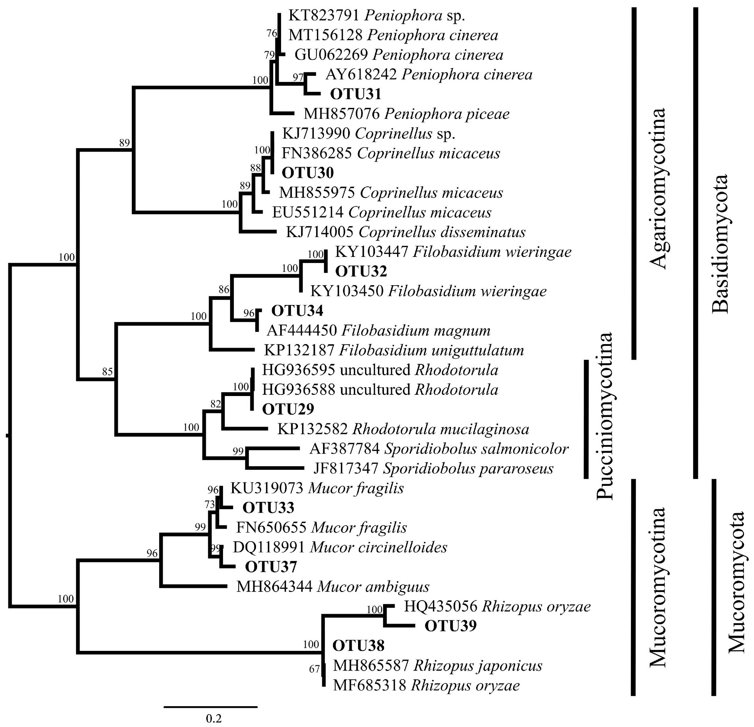 Diversity 13 00535 g002