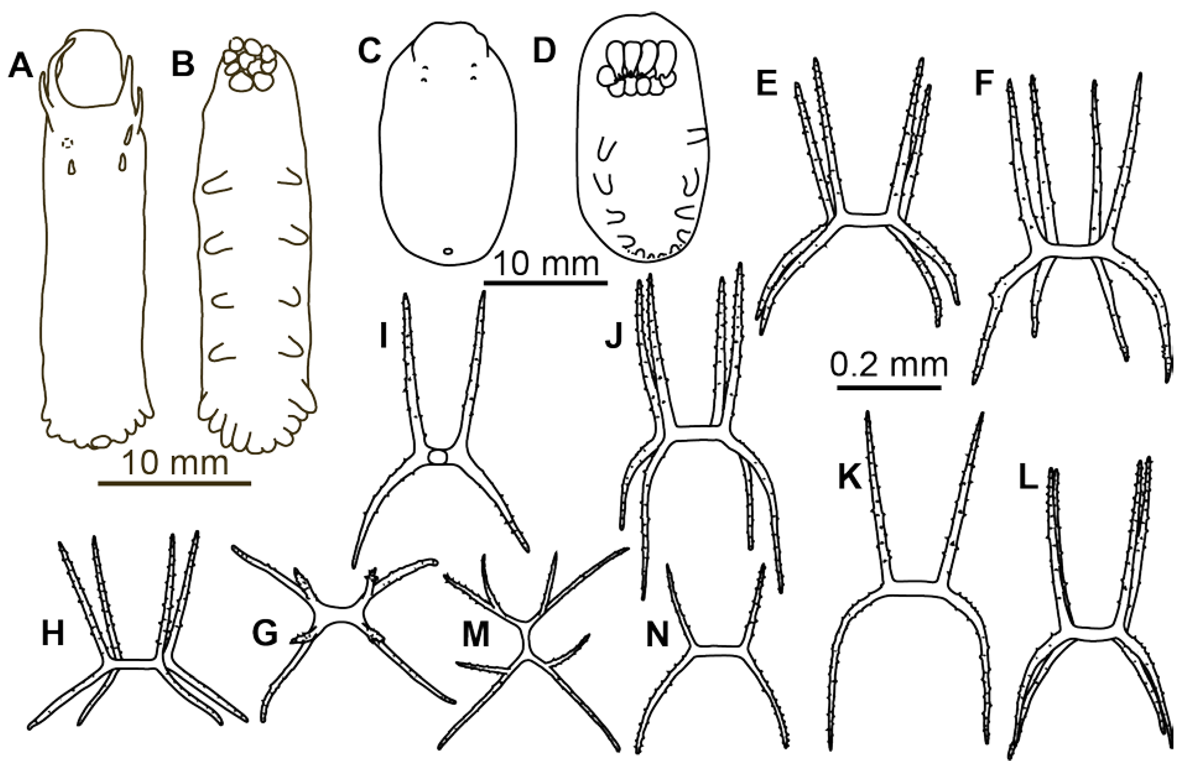 Diversity 13 00541 g001