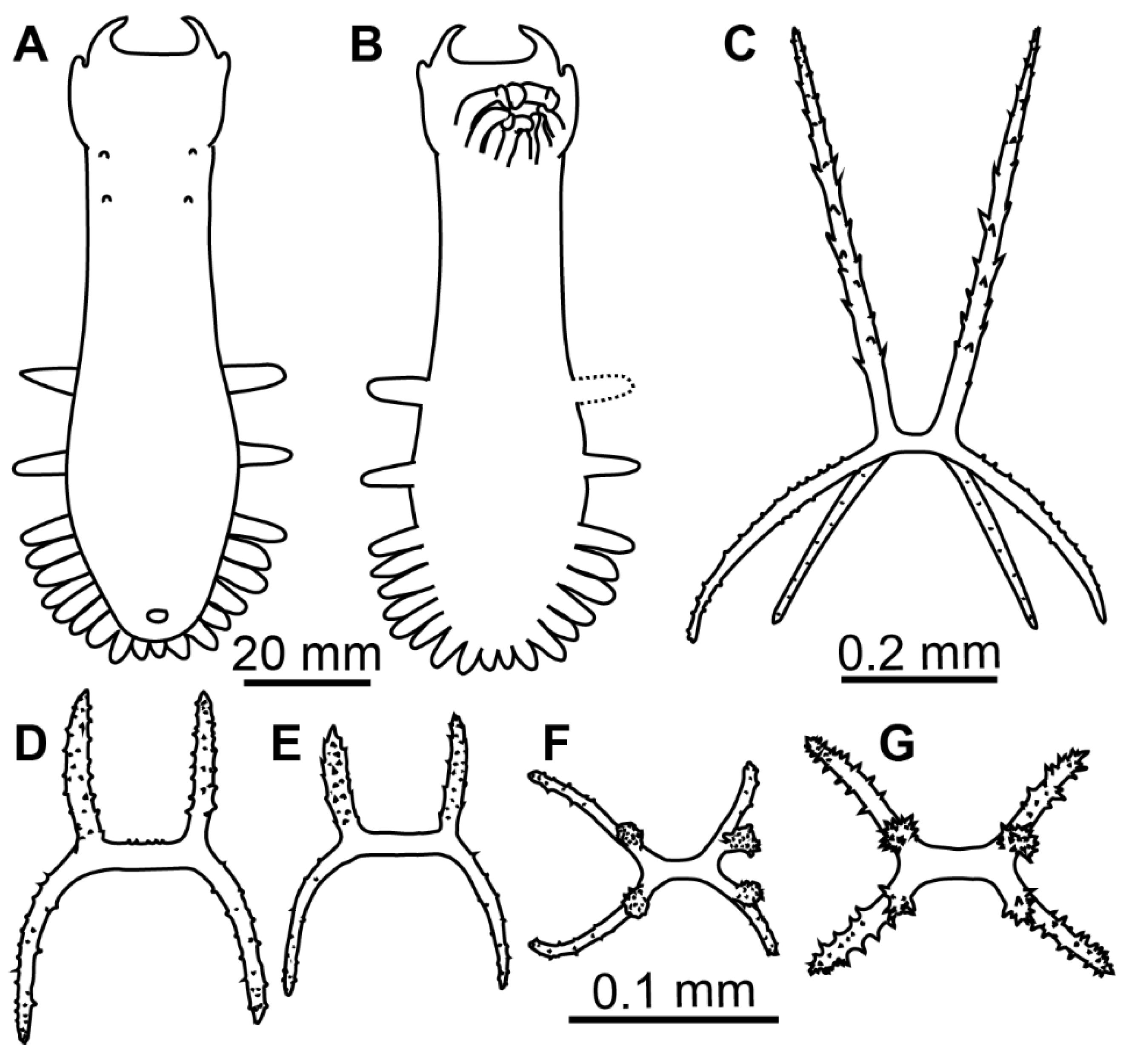 Diversity 13 00541 g008