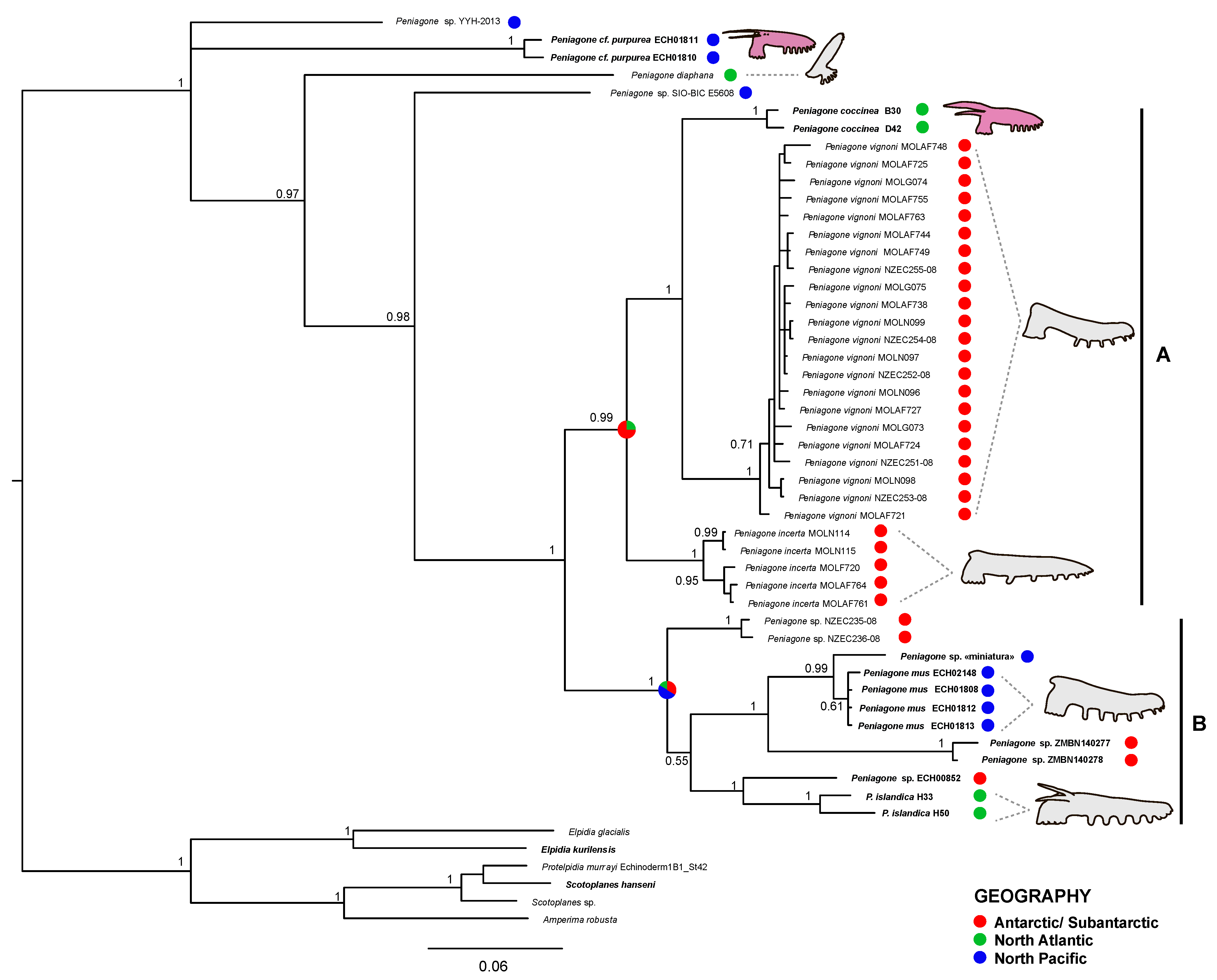 Diversity 13 00541 g009