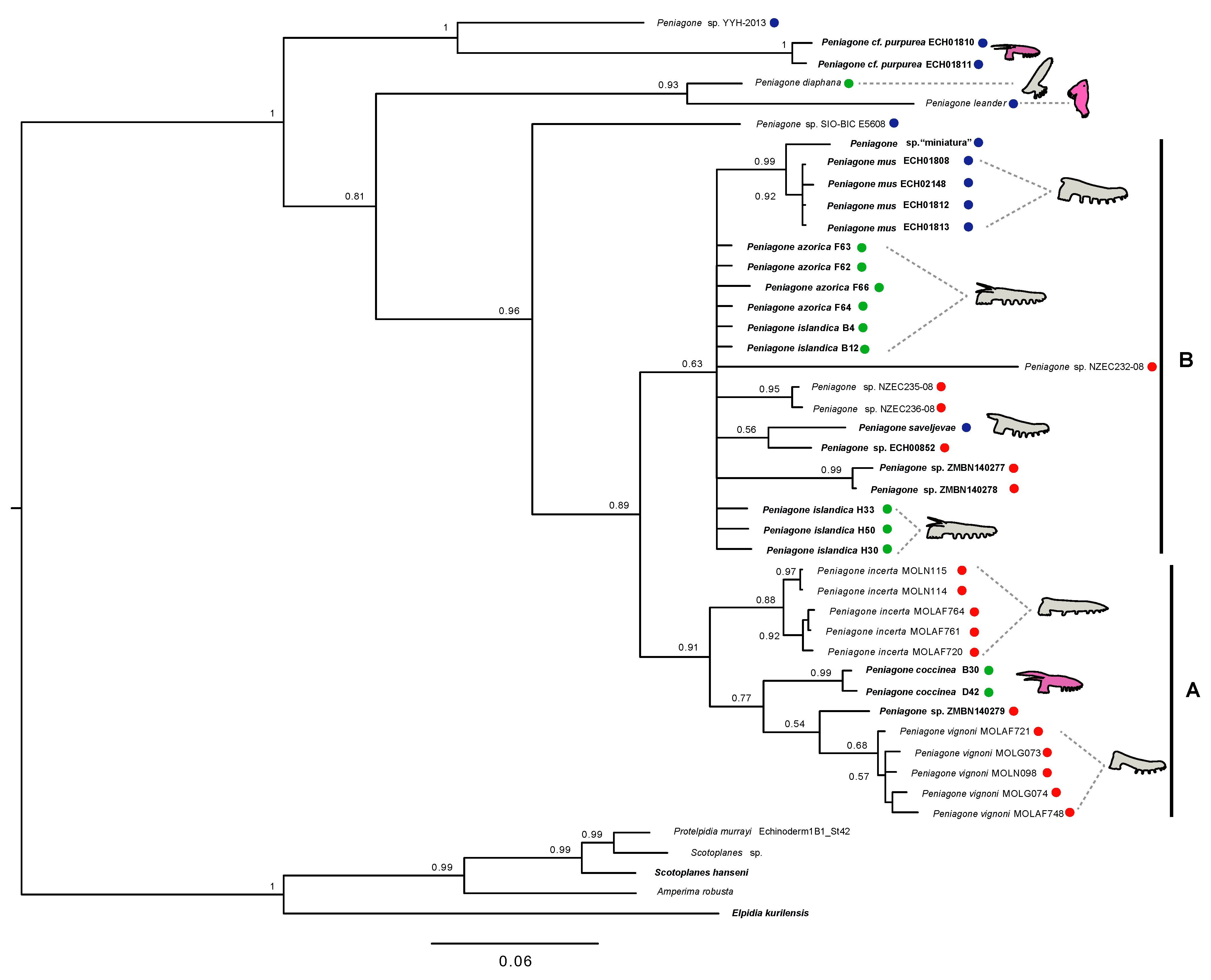 Diversity 13 00541 g010