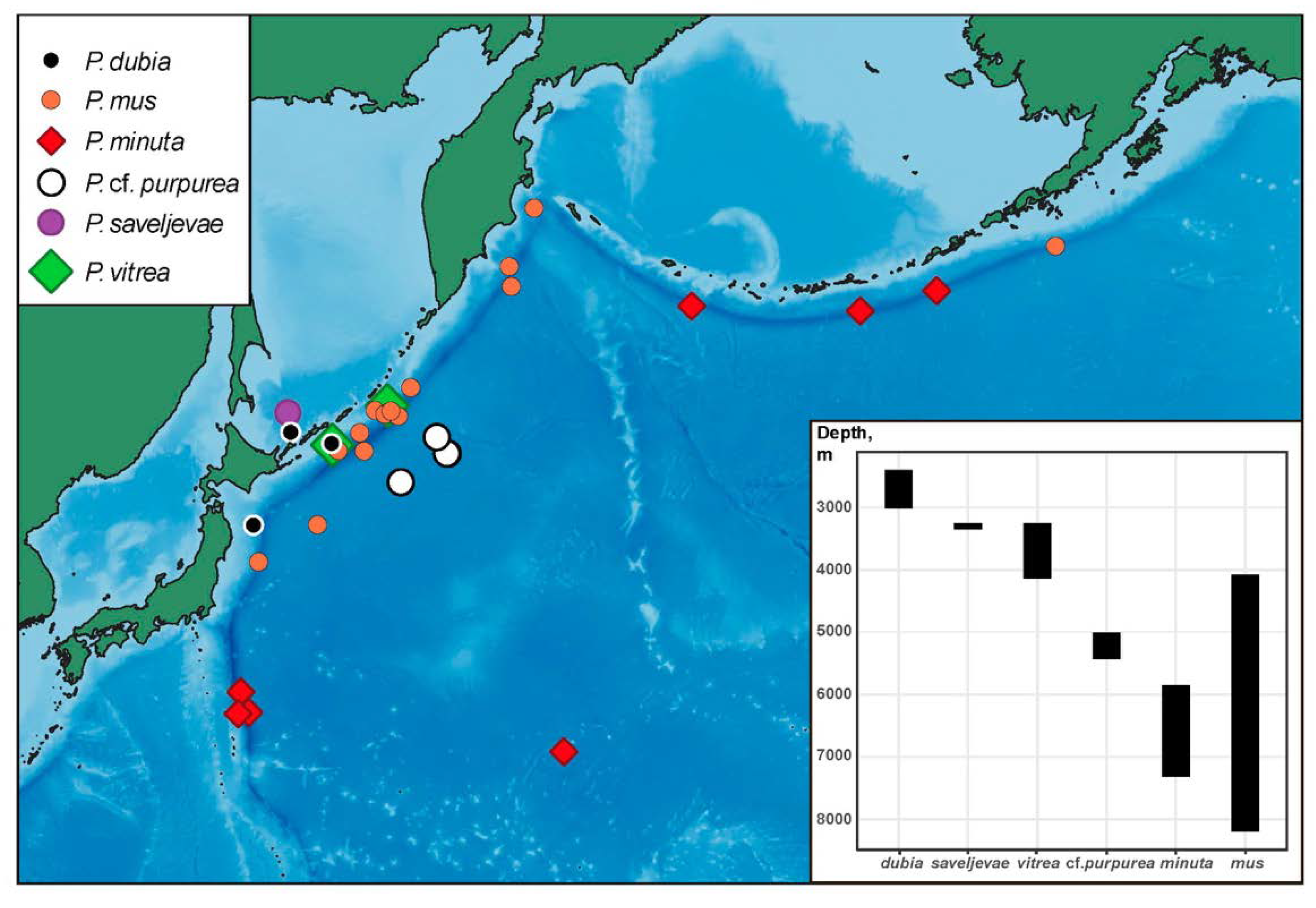Diversity 13 00541 g011