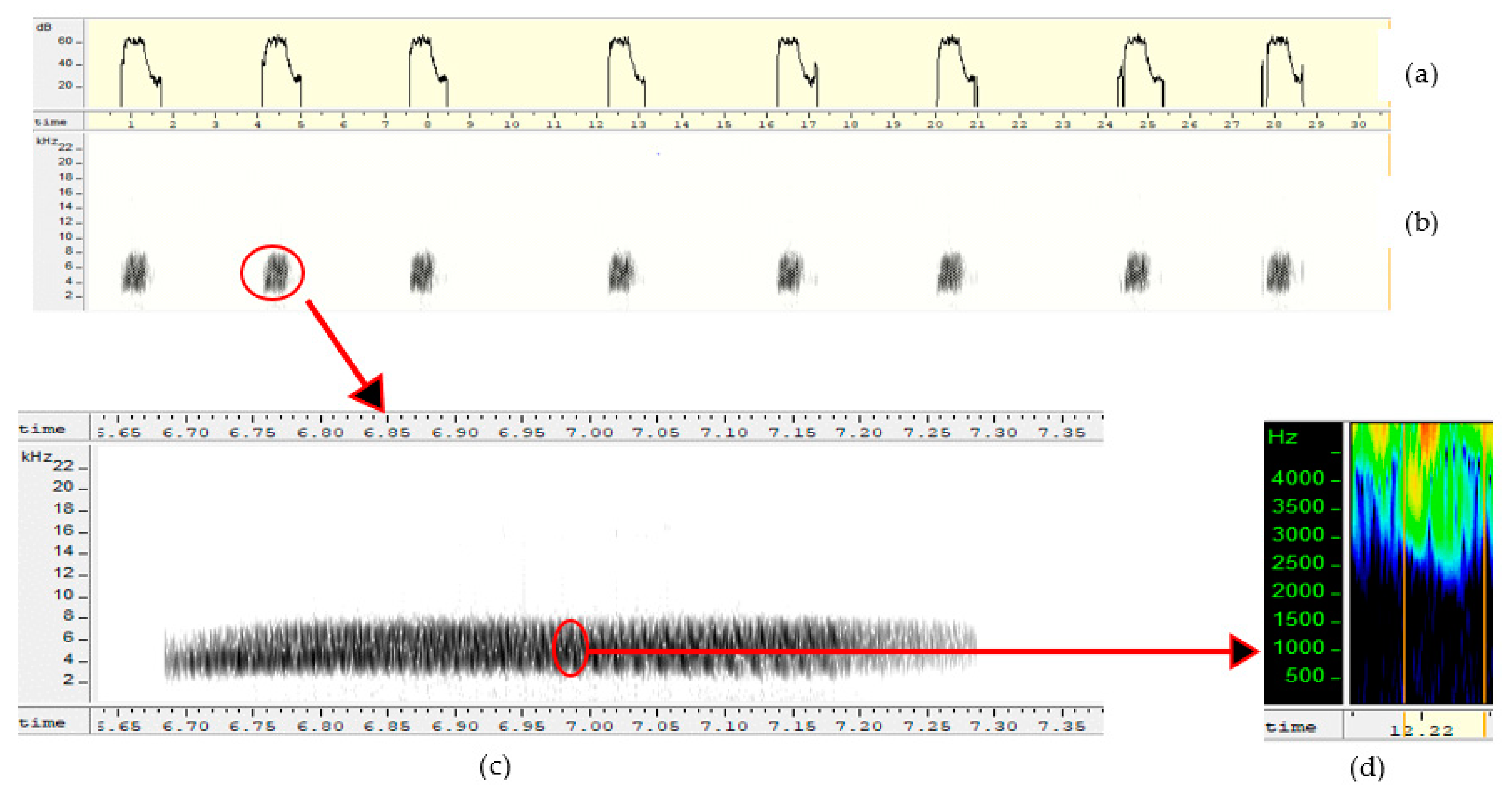 Diversity 13 00542 g003 Diversity 13 00542 g003