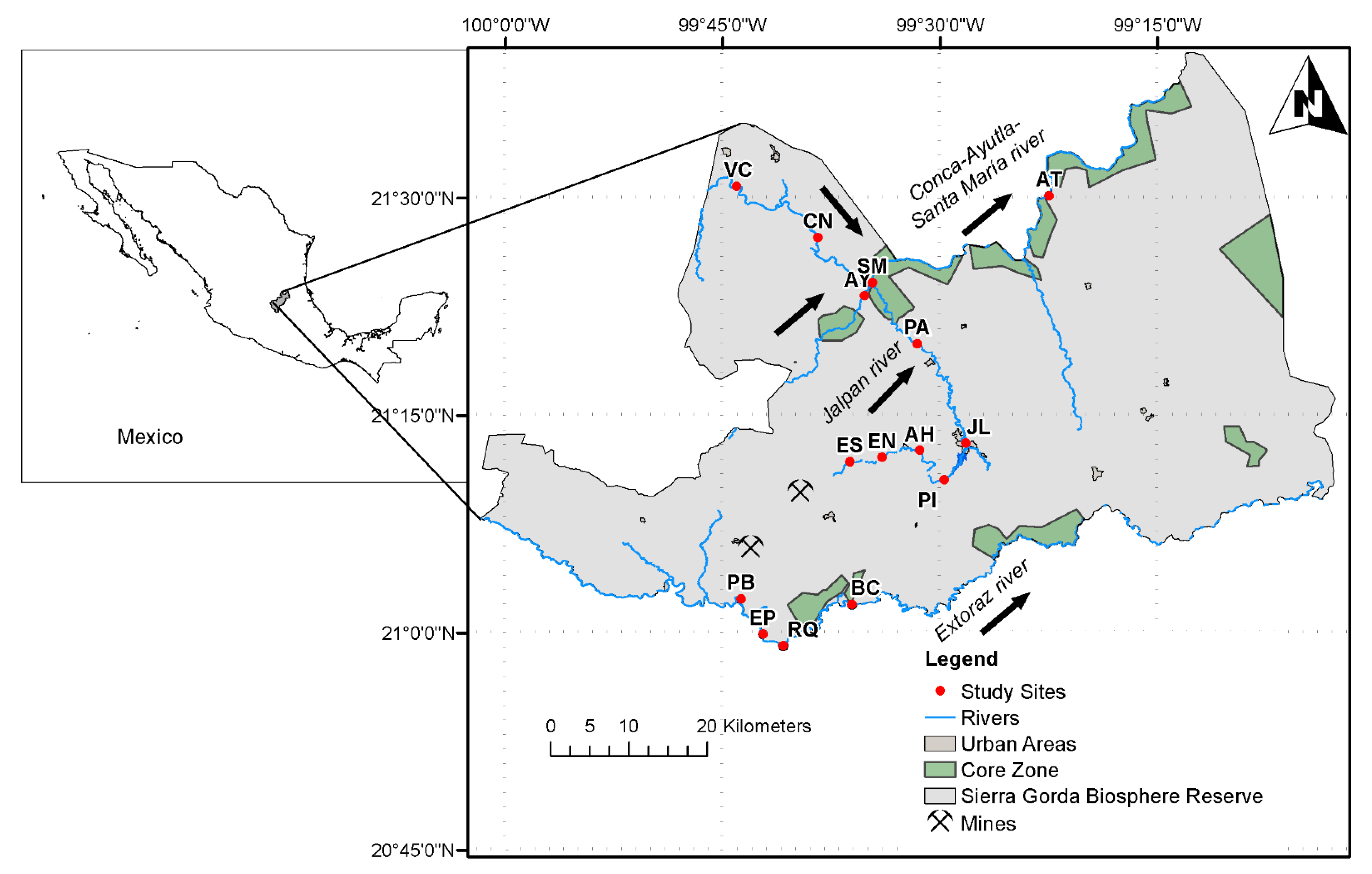 Diversity 13 00546 g001
