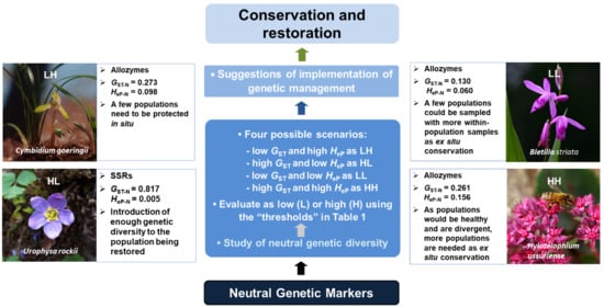 Diversity 13 00552 g001