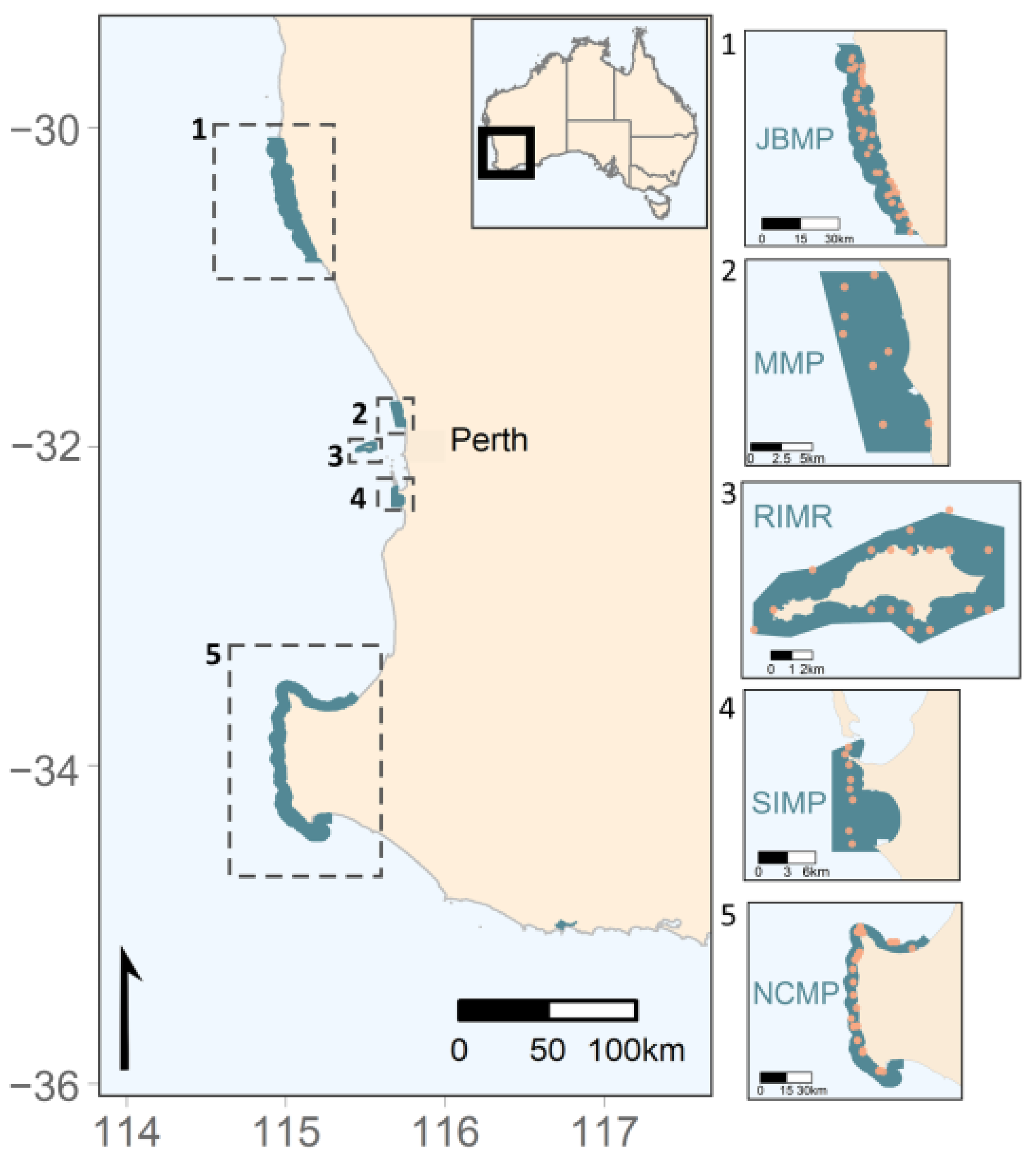 Diversity 13 00554 g001
