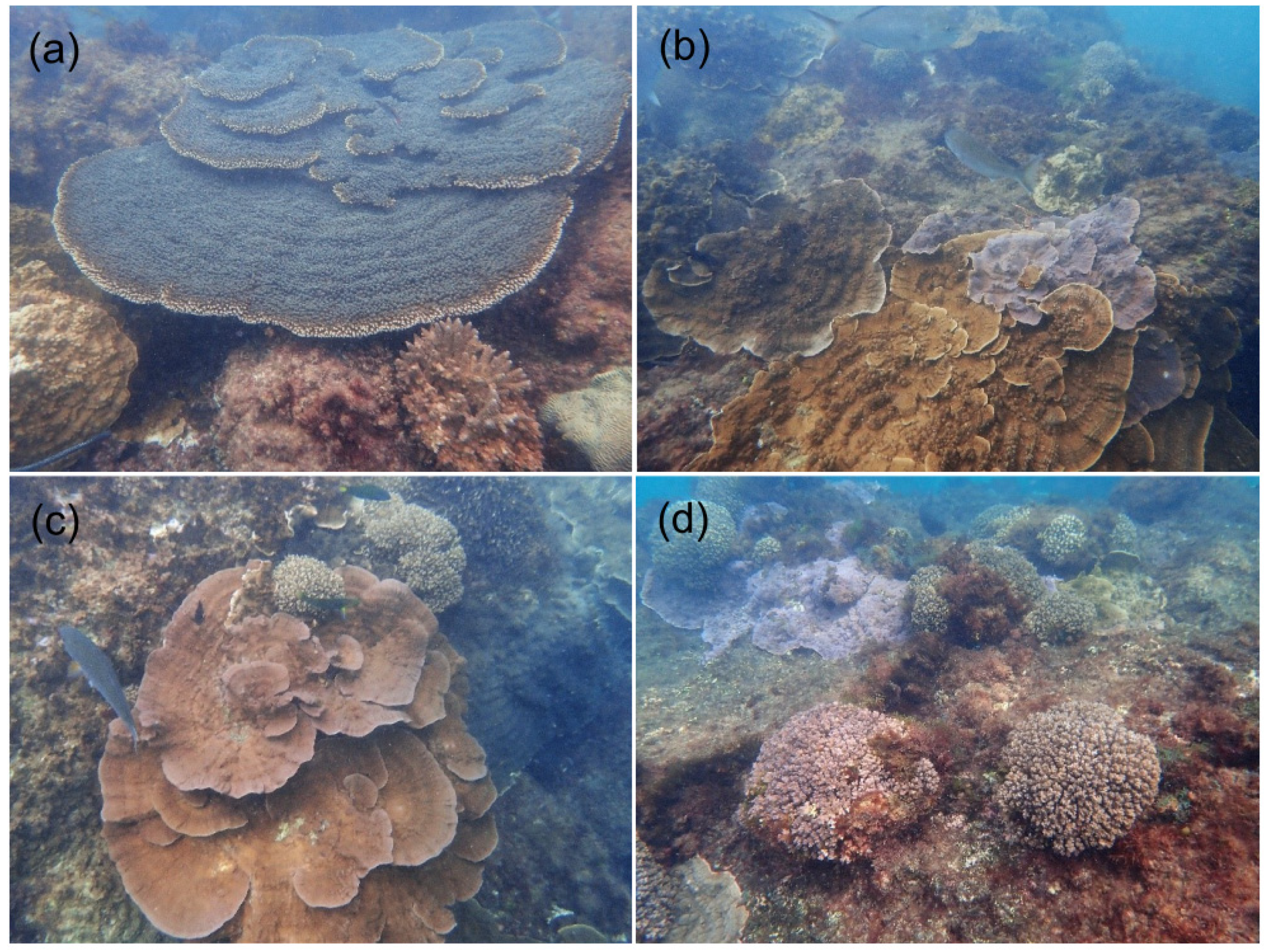 Diversity 13 00554 g007