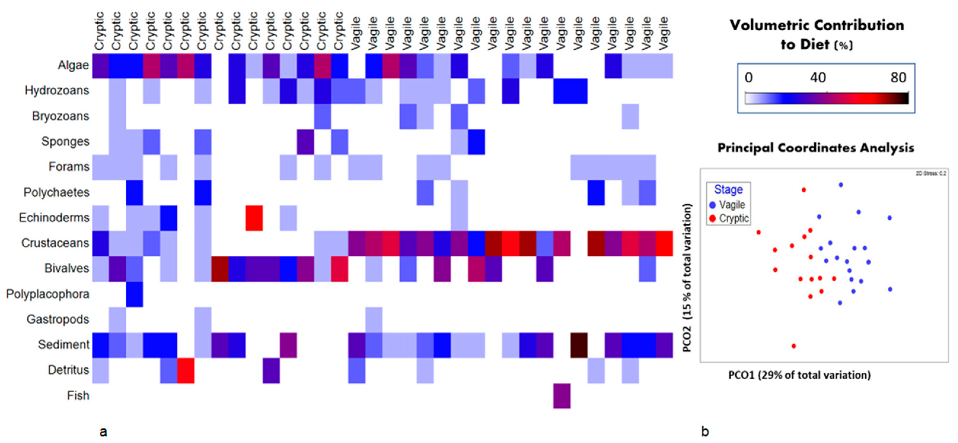 Diversity 13 00556 g001