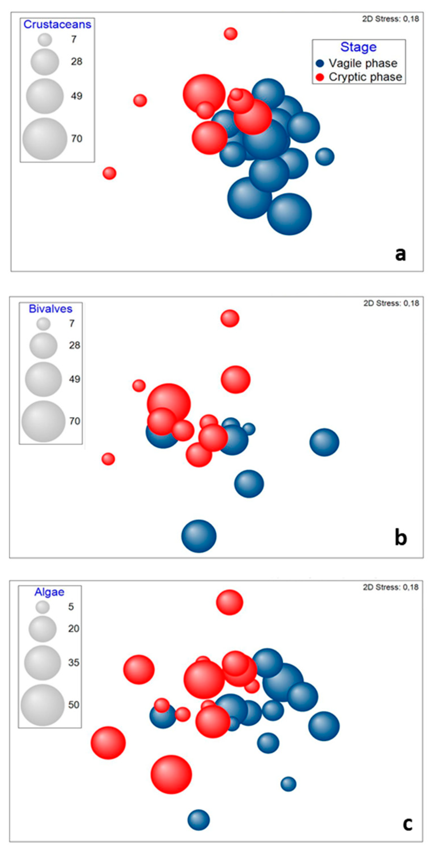 Diversity 13 00556 g002