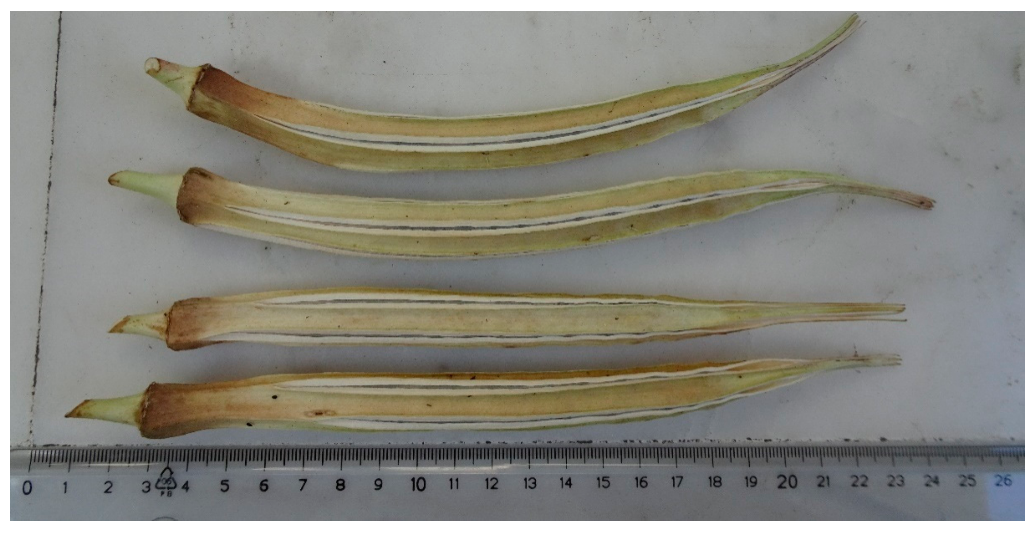 Diversity 13 00558 g004