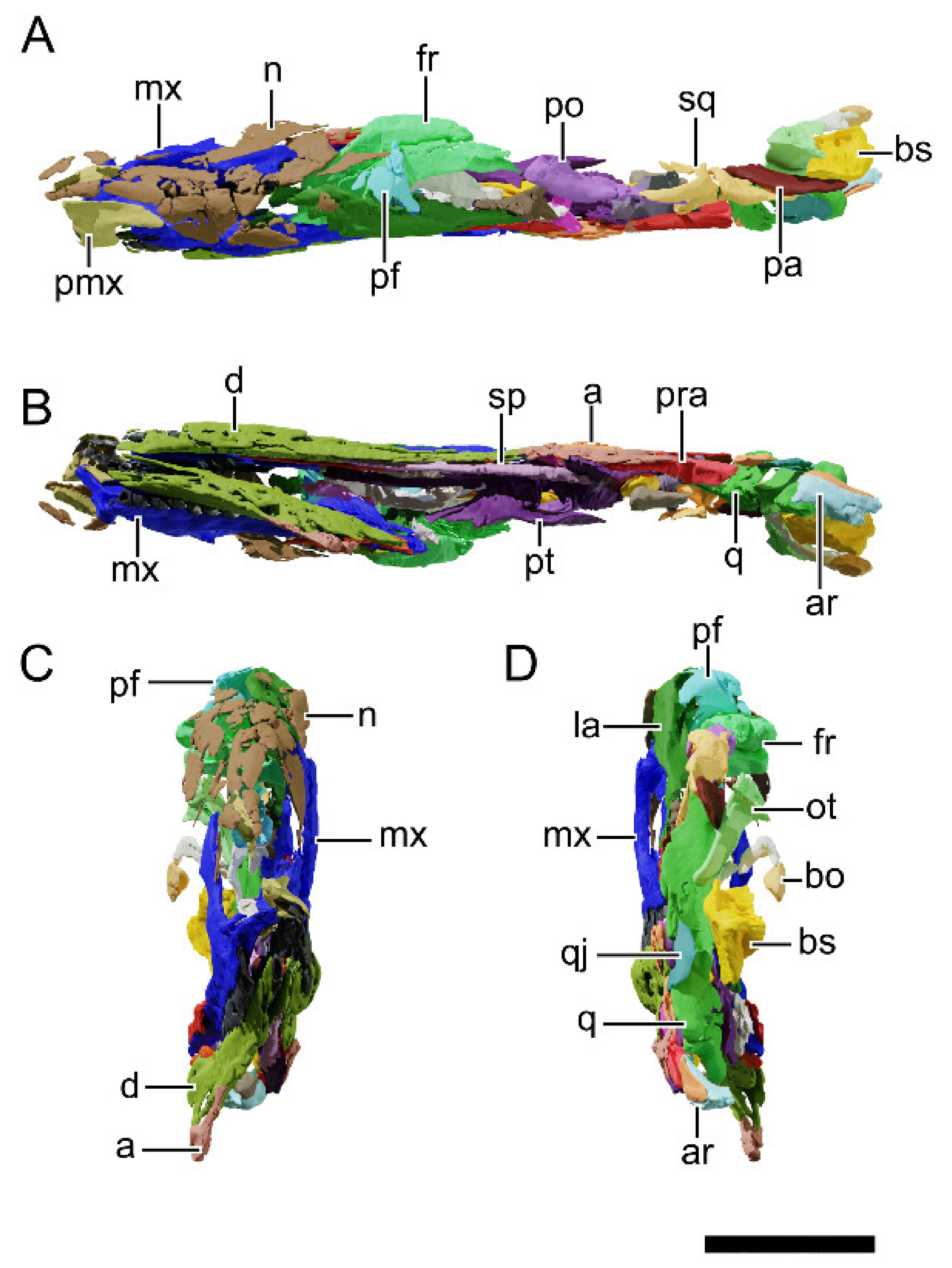 Diversity 13 00561 g005