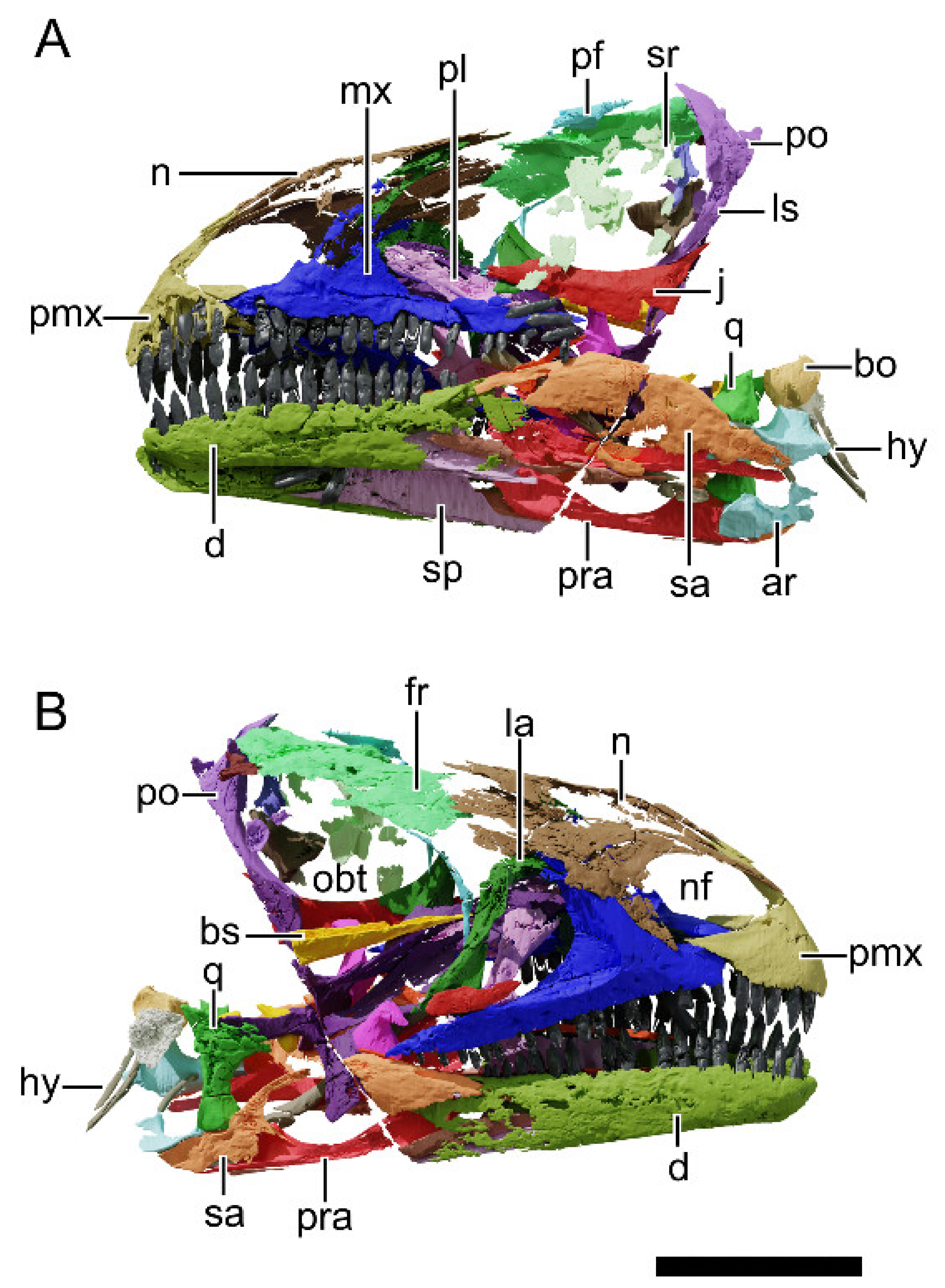 Diversity 13 00561 g006
