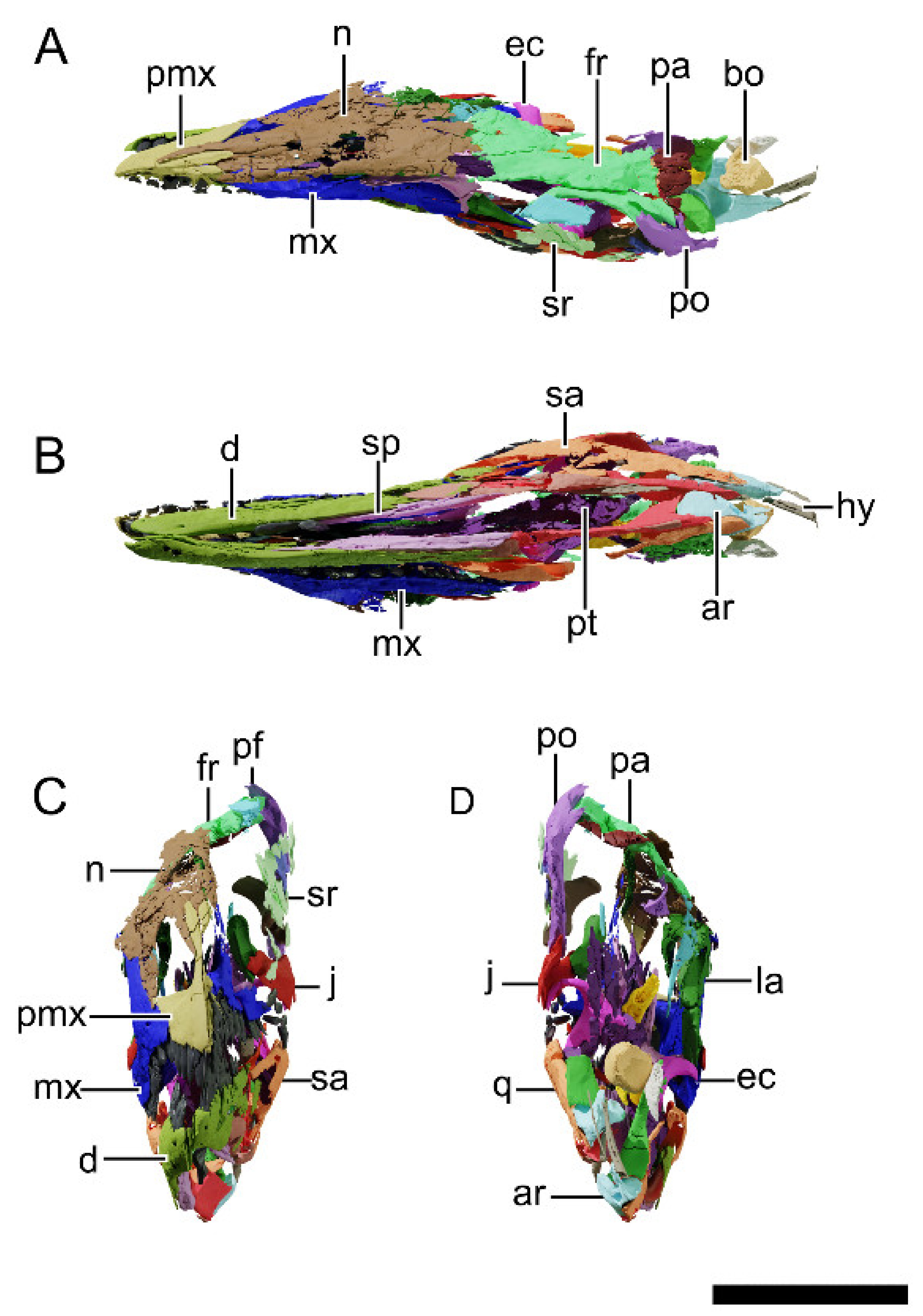 Diversity 13 00561 g007