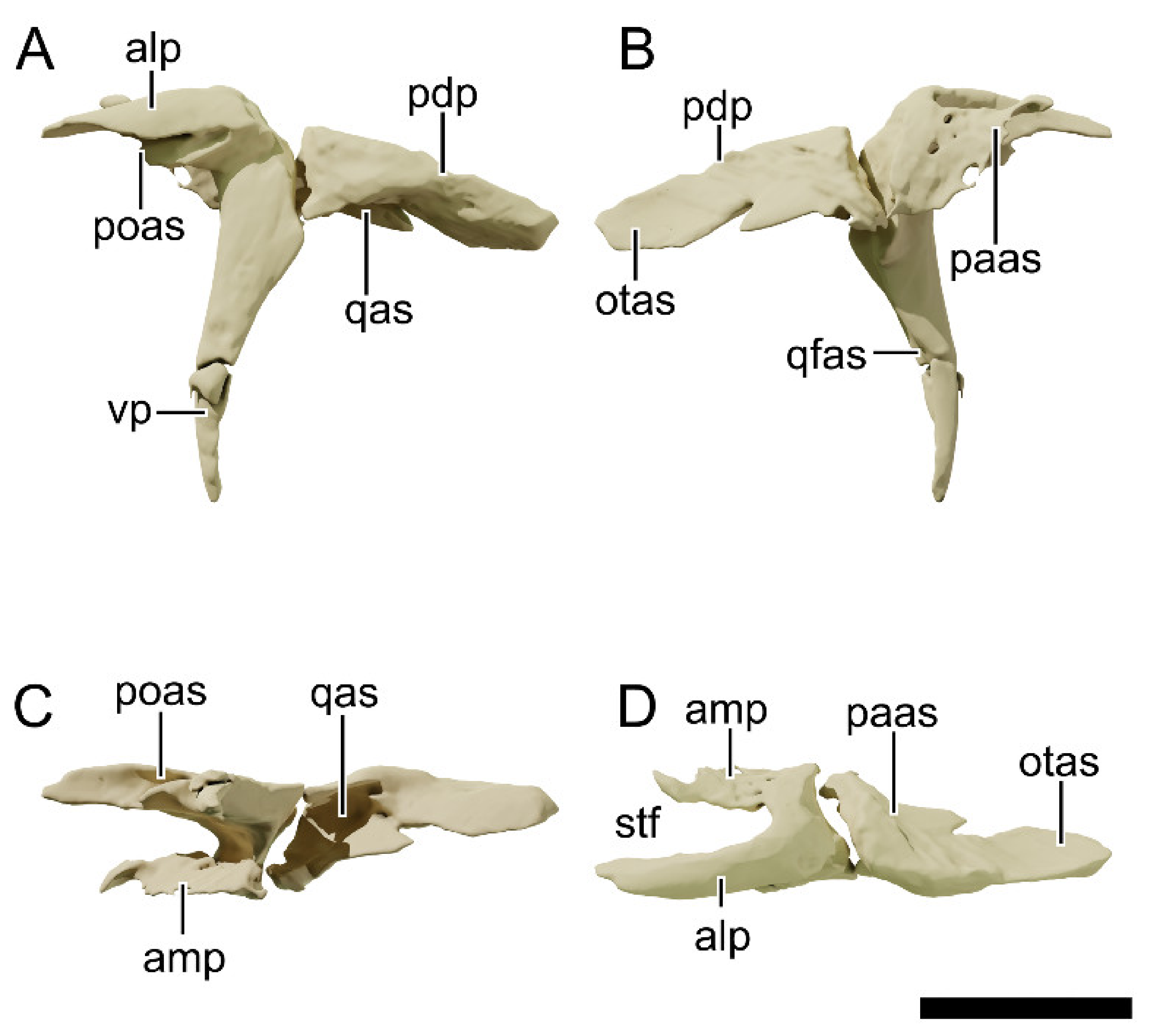 Diversity 13 00561 g016