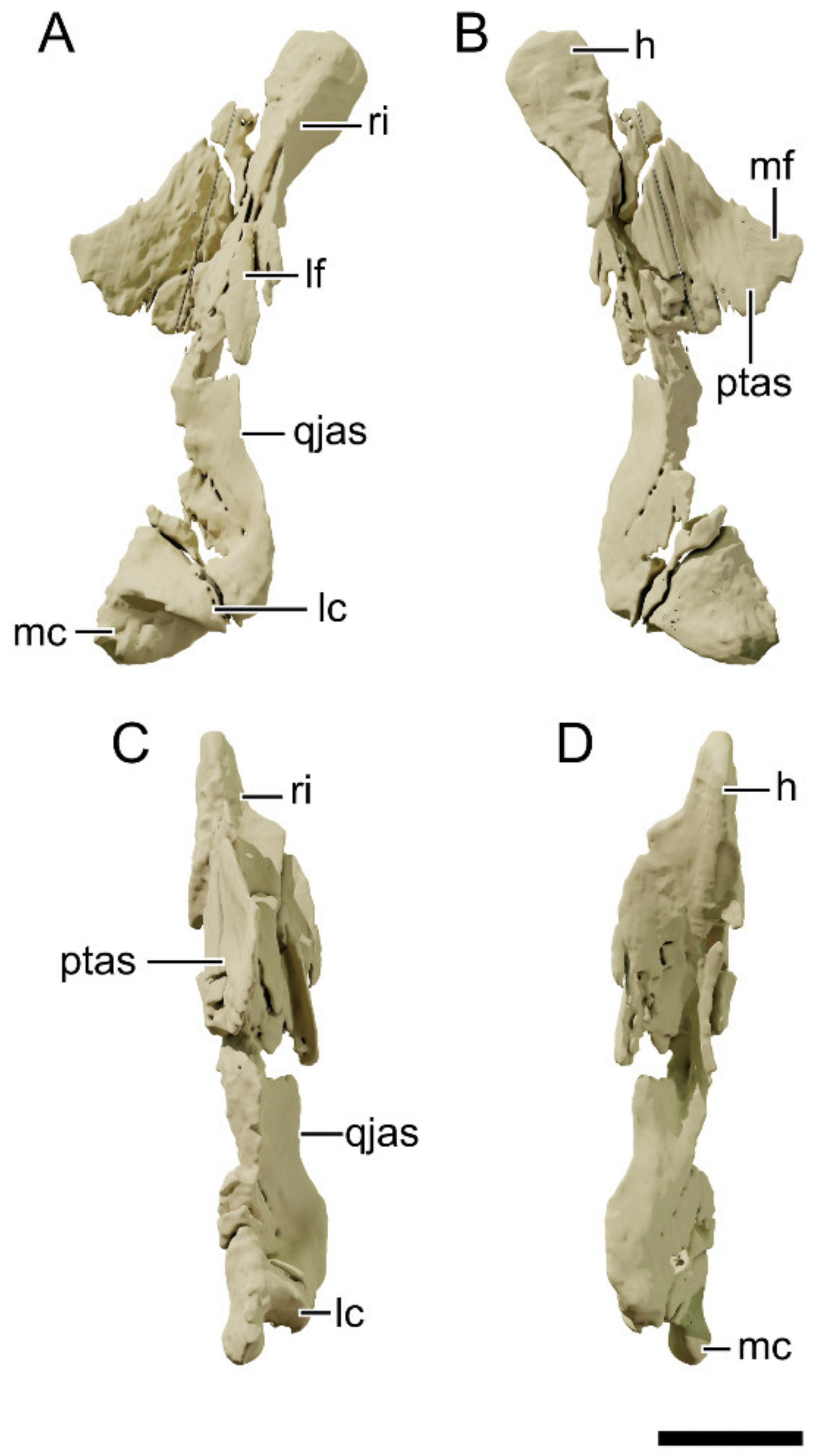 Diversity 13 00561 g018