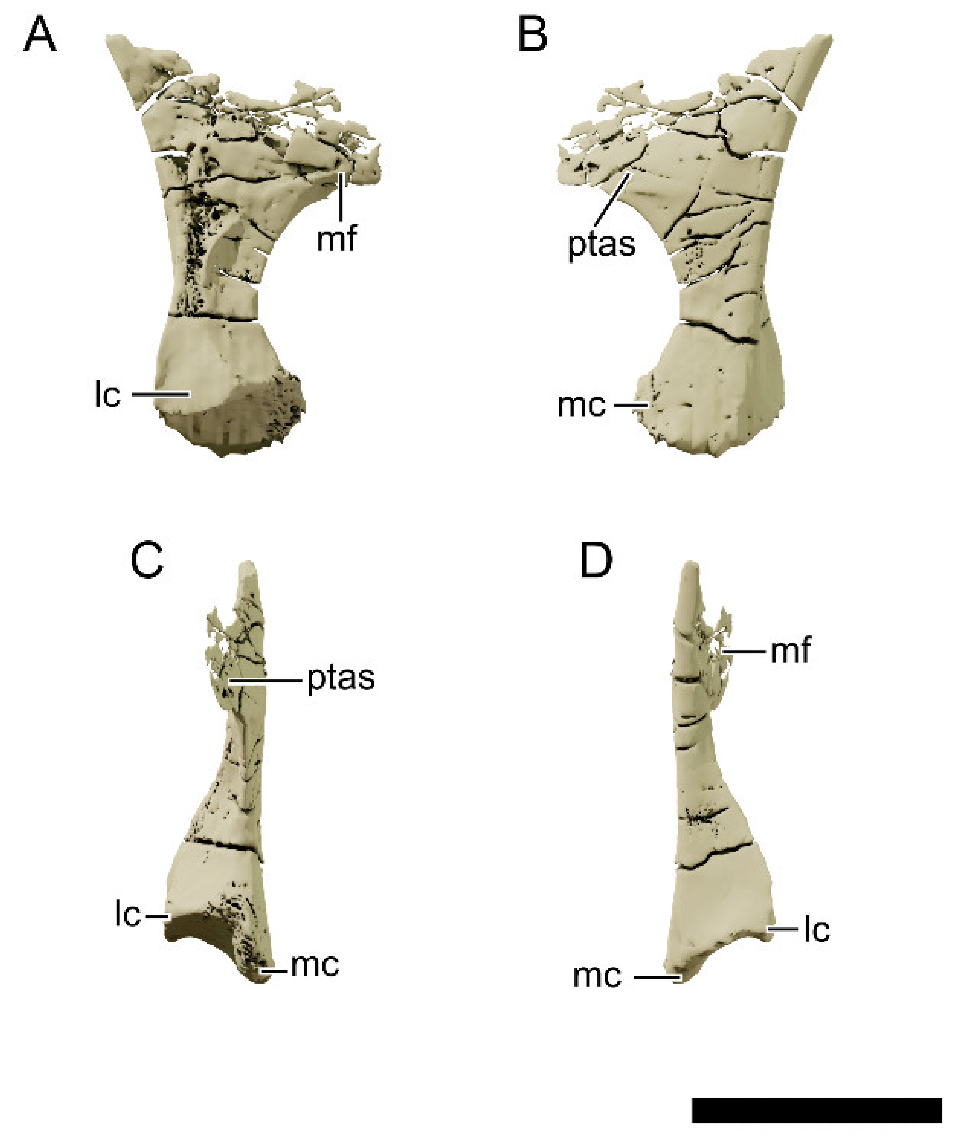 Diversity 13 00561 g019