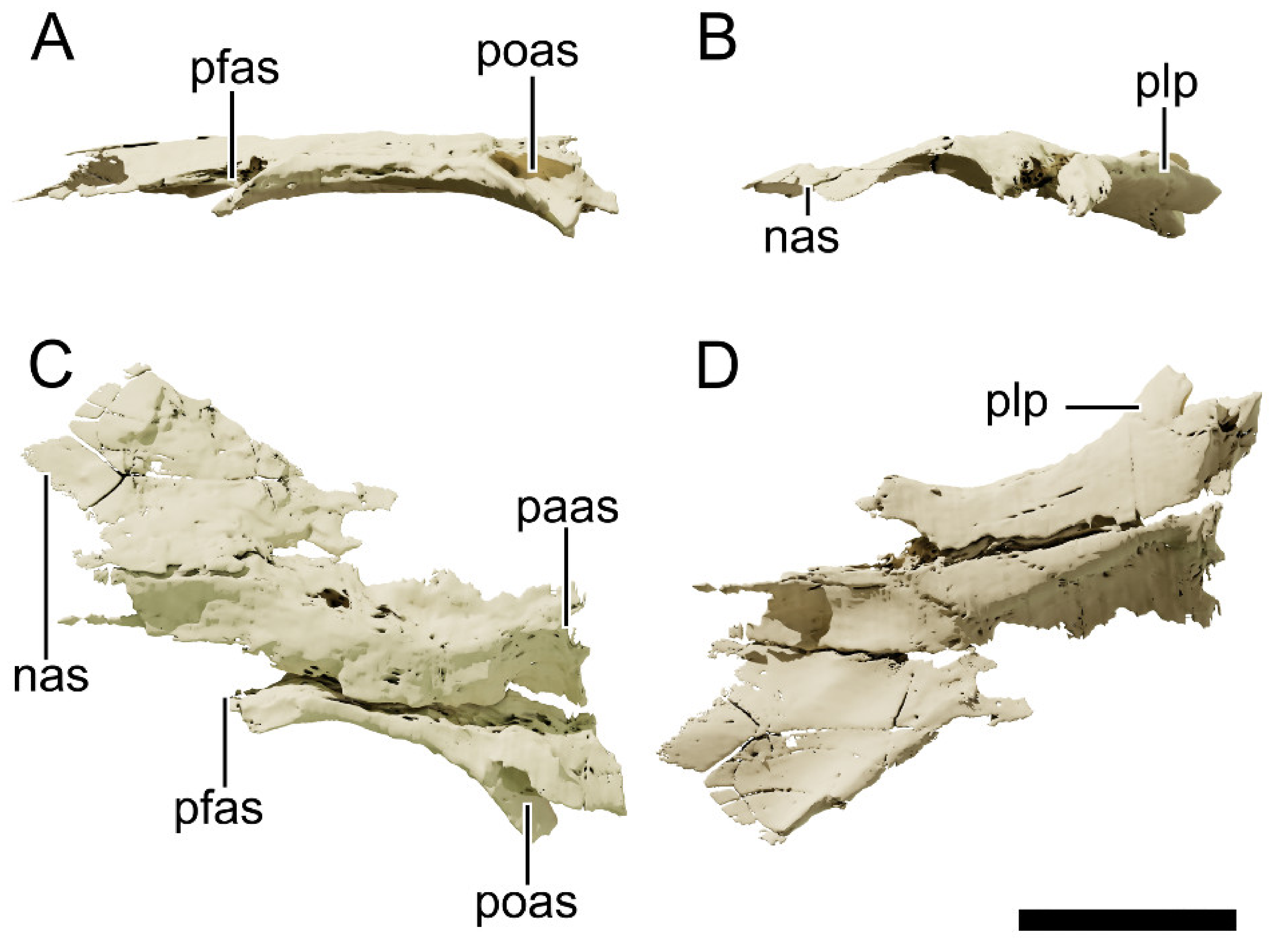 Diversity 13 00561 g021